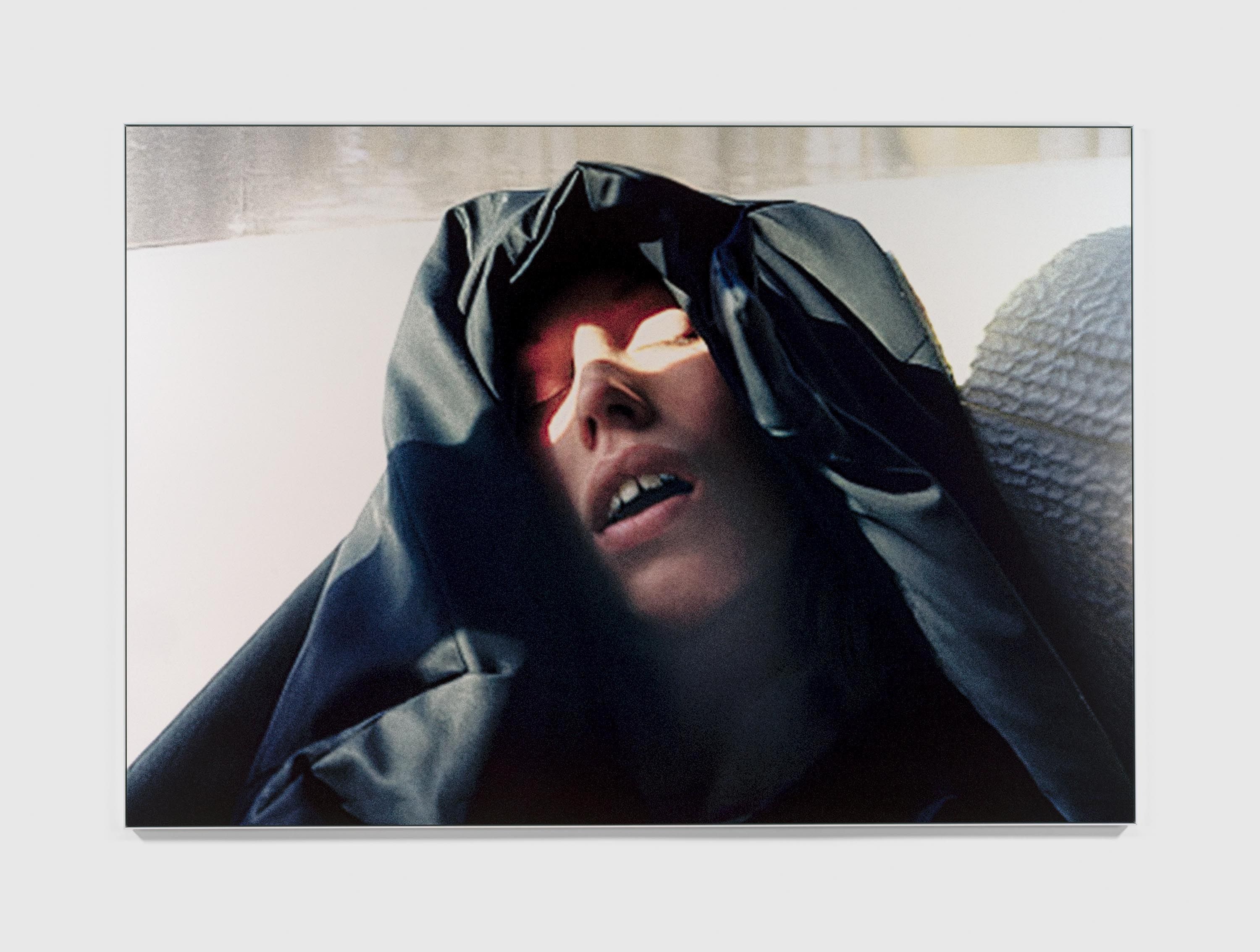 A photograph by Steven Shearer, titled Teresa's Trip, dated 2024.
