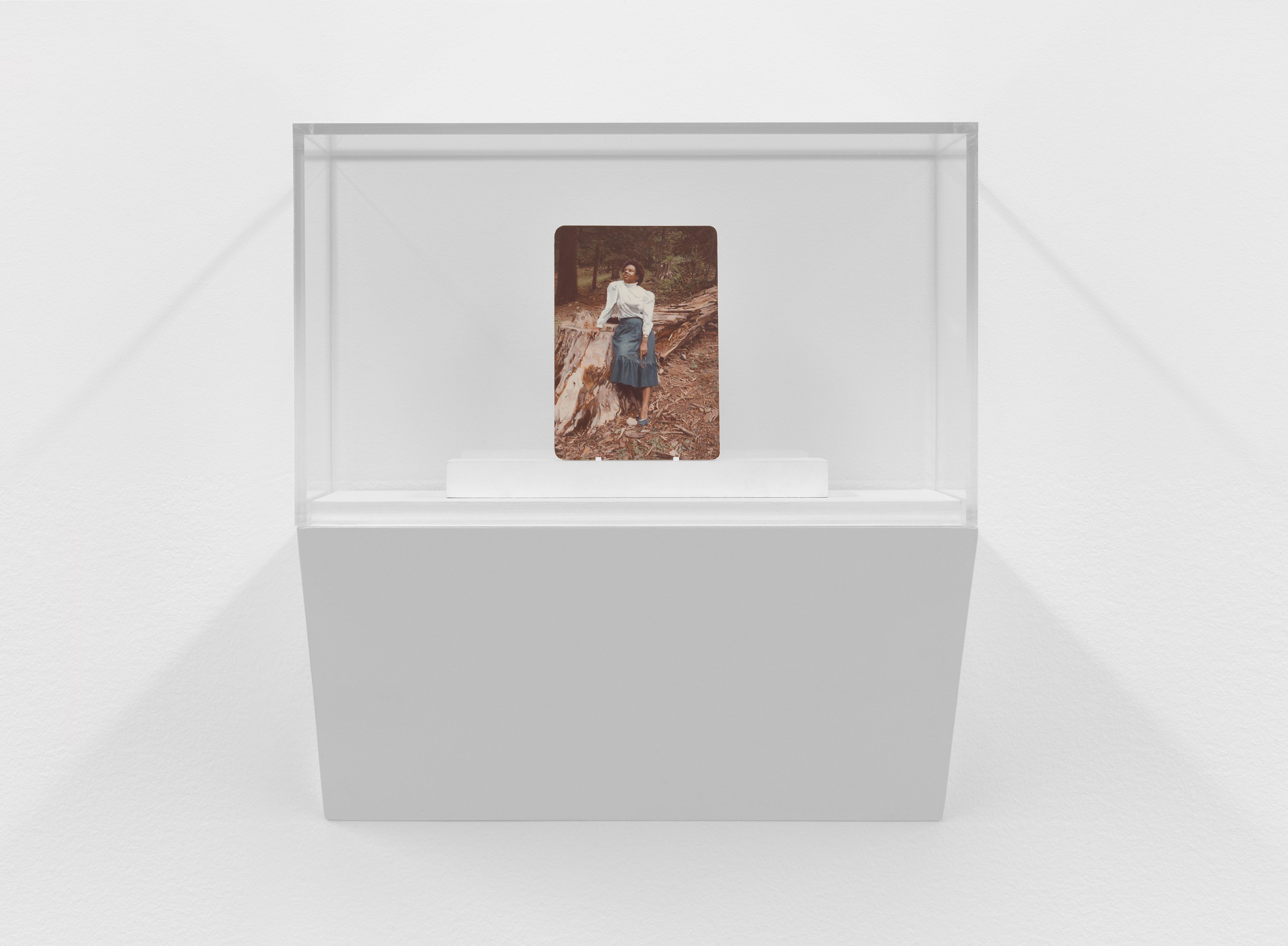 A painting by Elisheva Biernoff, titled Vision, dated 2016.