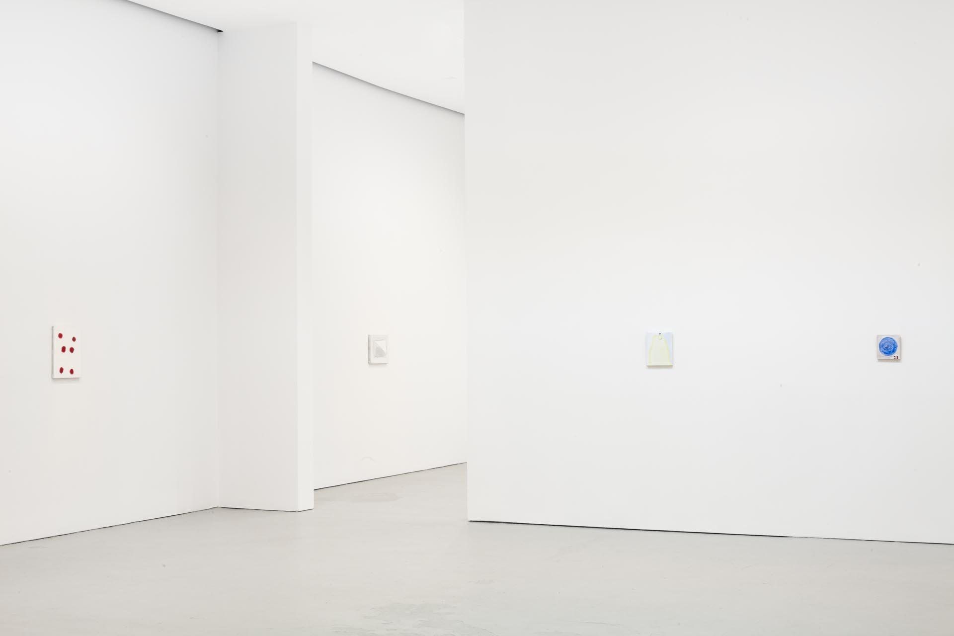 Installation view of the exhibition Raoul De Keyser: FREEDOM, at David Zwirner in New York, dated 2011. 