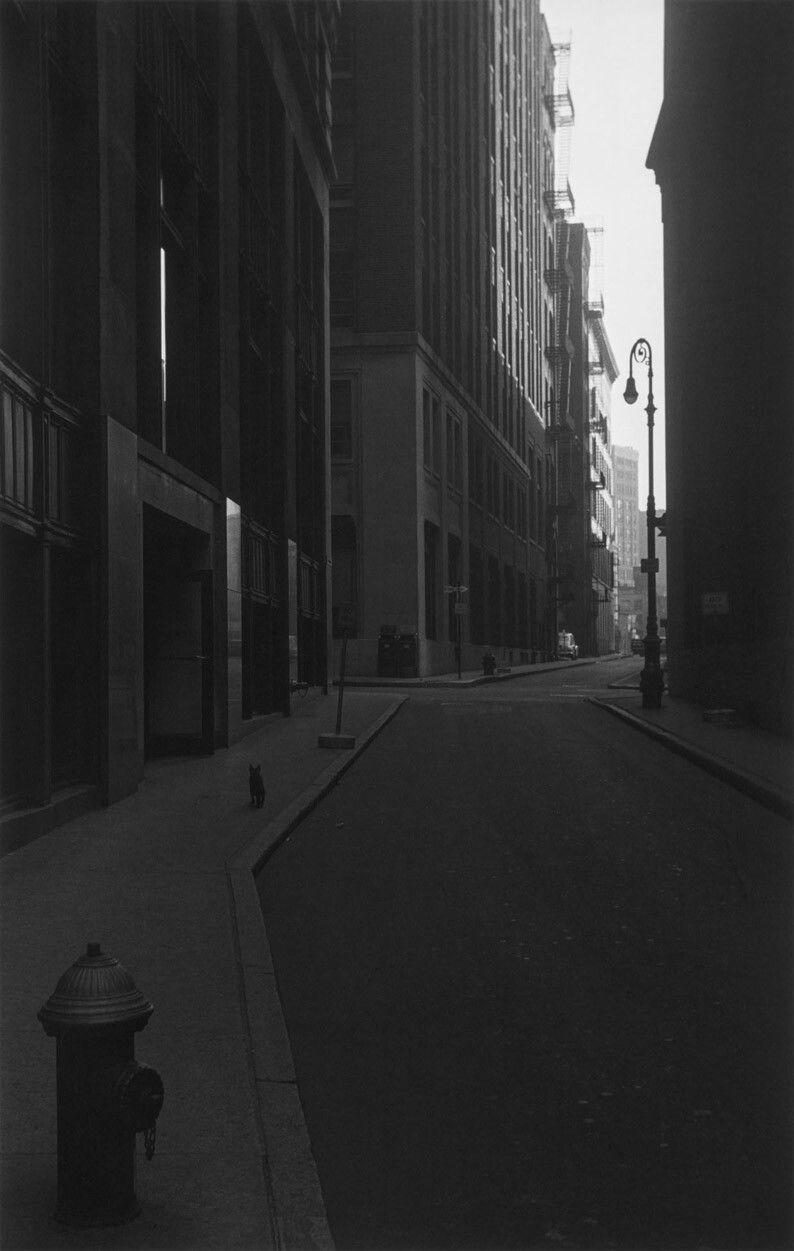 A silver gelatin print by Roy DeCarava, titled Wall Street, morning, dated 1960.