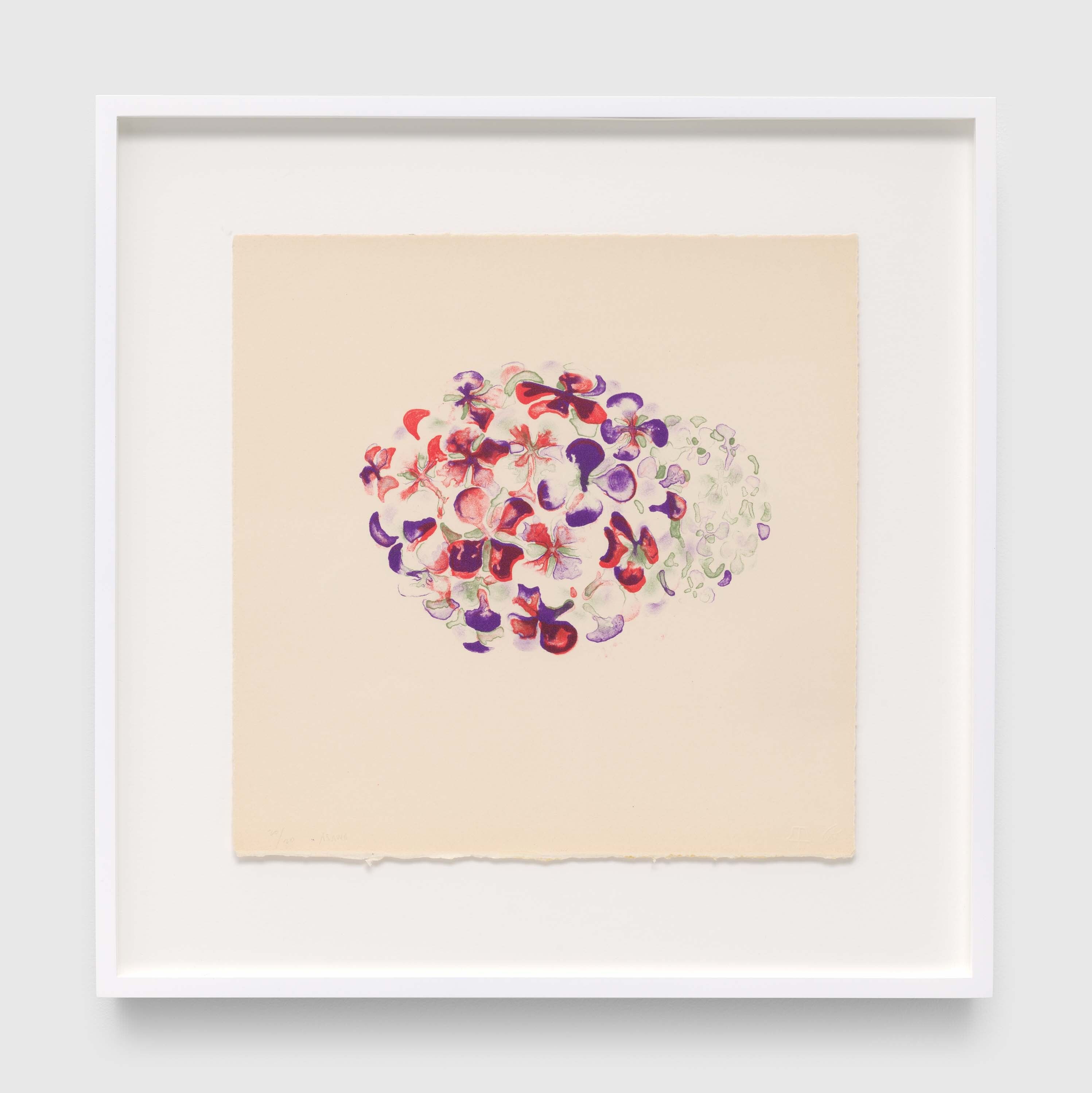 A print by Ruth Asawa, called Untitled (TAM.1535, Hydrangea, from the Portfolio Flowers), dated 1965.