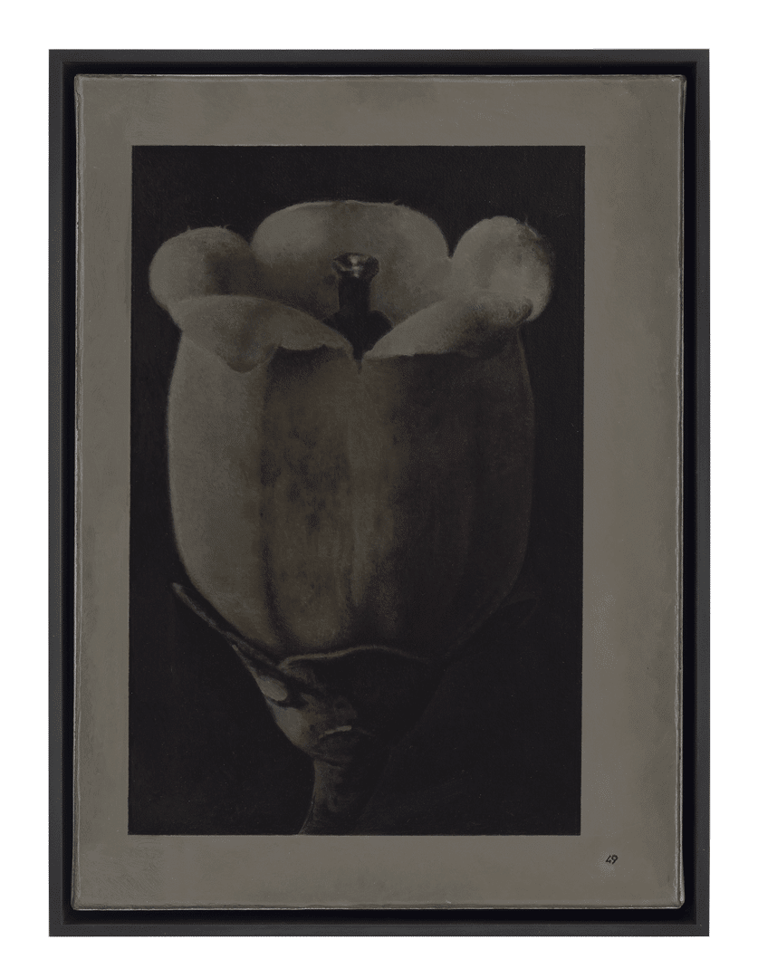 A painting by Liu Ye, titled Book Painting No. 23 (Karl Blossfeldt, Wunder in der Natur, H. Schmidt & C. Gruenter, Leipzig, 1942, Page 49), dated 2019.