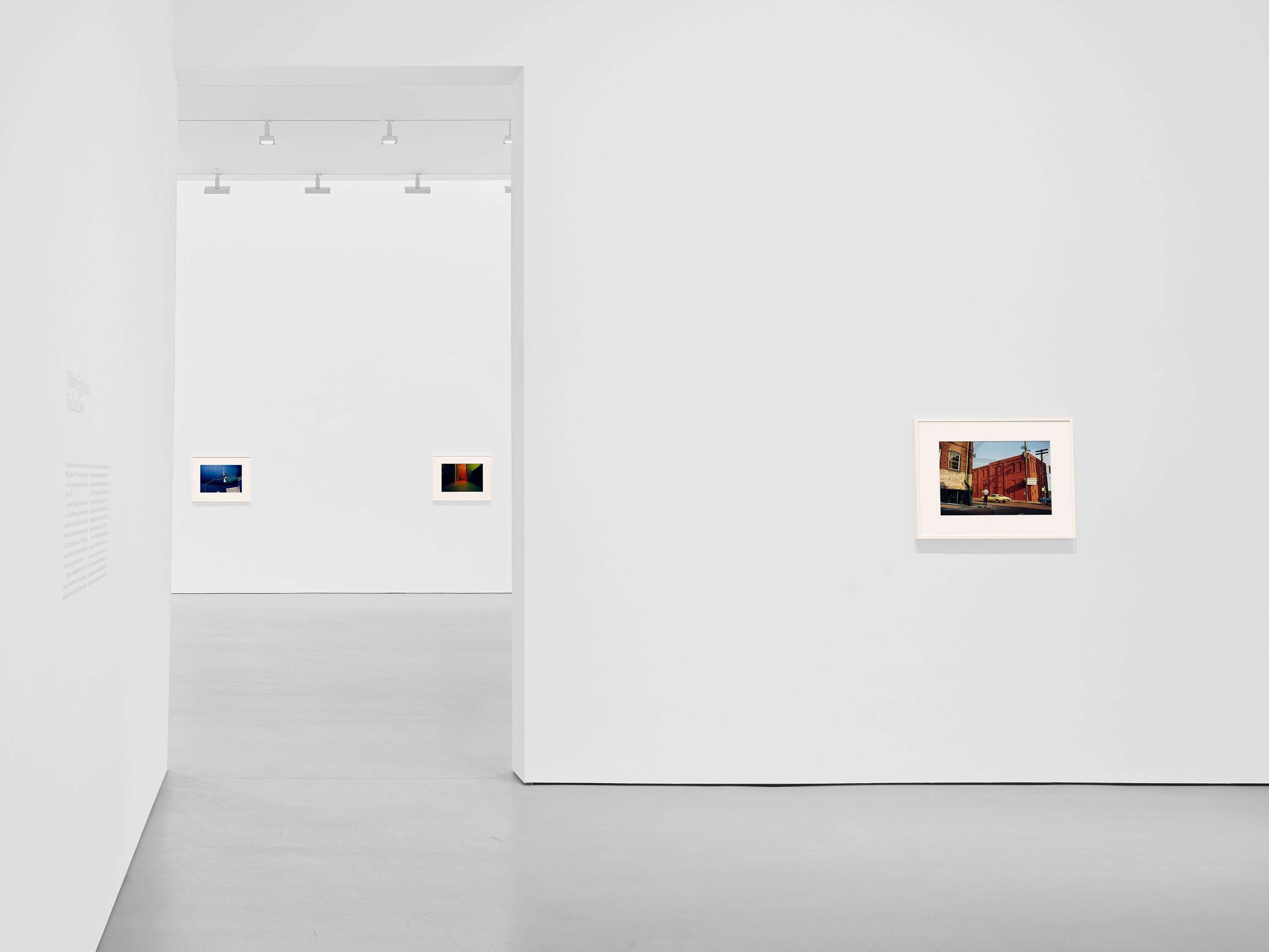 William Eggleston: The Last Dyes | New York: 19th Street | January