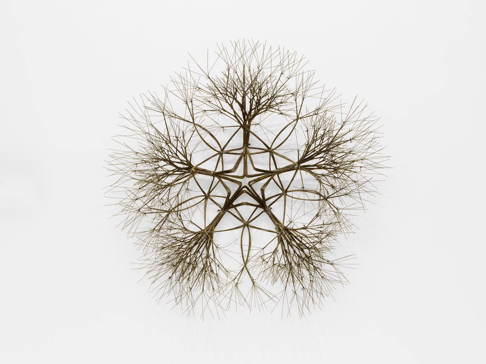 A sculpture by Ruth Asawa, titled Untitled (S.070, Wall-Mounted Tied Wire, Open-Center, Five-Branched Form Based on Nature), dated 1988.