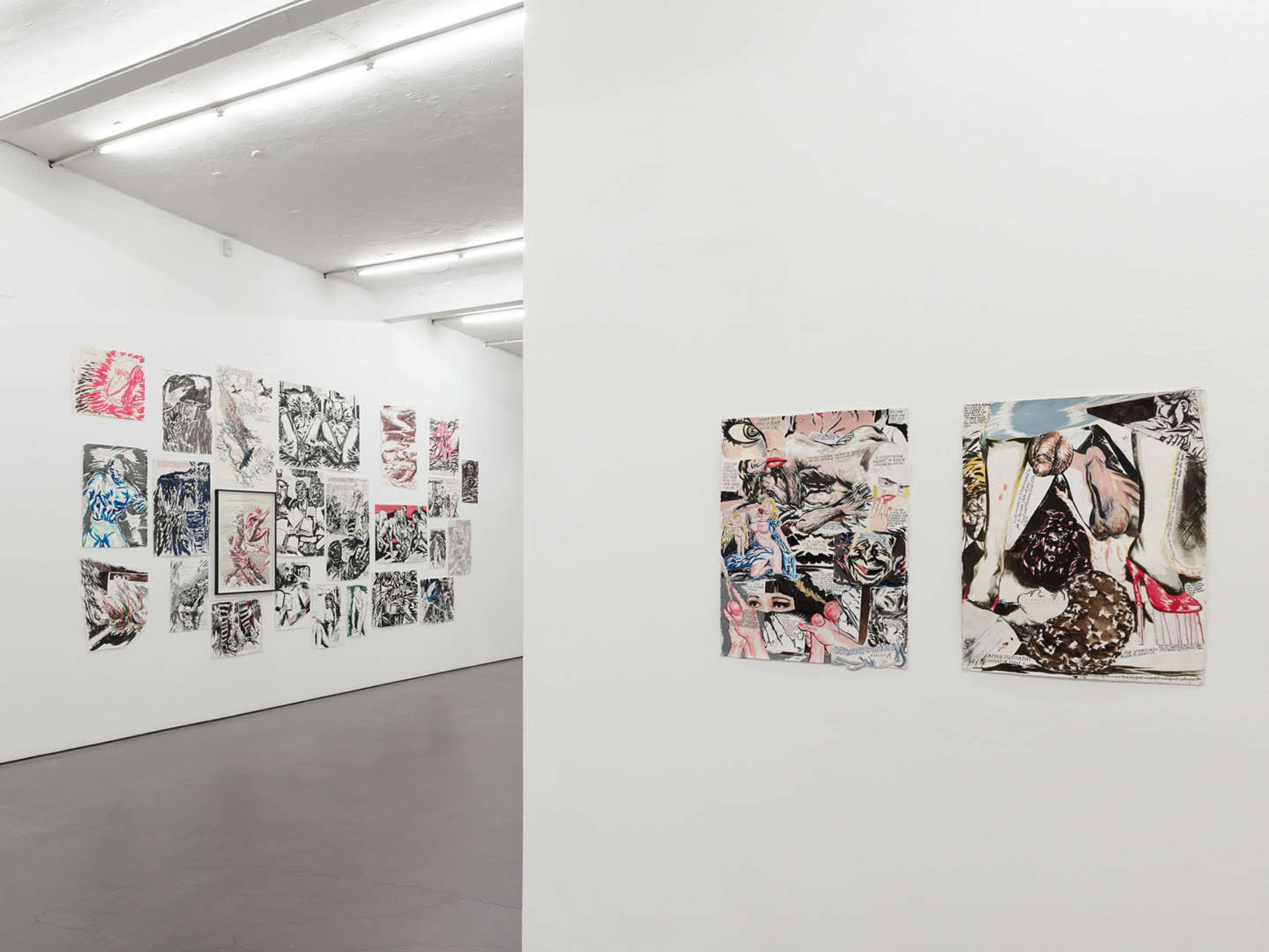 Installation view of the exhibition, Raymond Pettibon: Homo Americanus, at the Deichtorhallen Hamburg Sammlung Falckenberg in Germany, dated 2016.