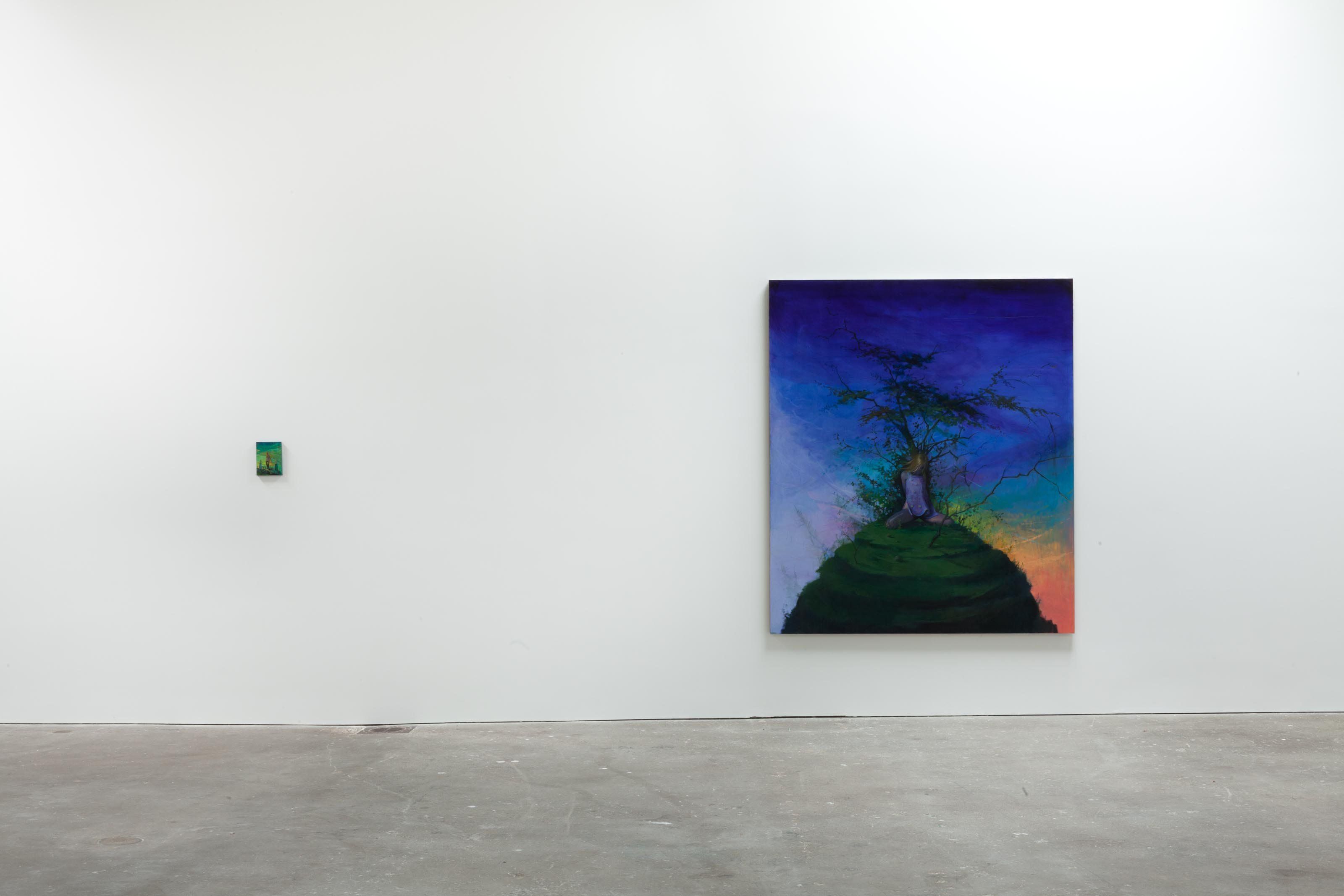 Installation view of the exhibition Lisa Yuskavage at David Zwirner in New York, dated 2011.