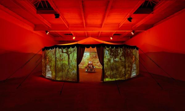 Diana Thater — Practical Effects