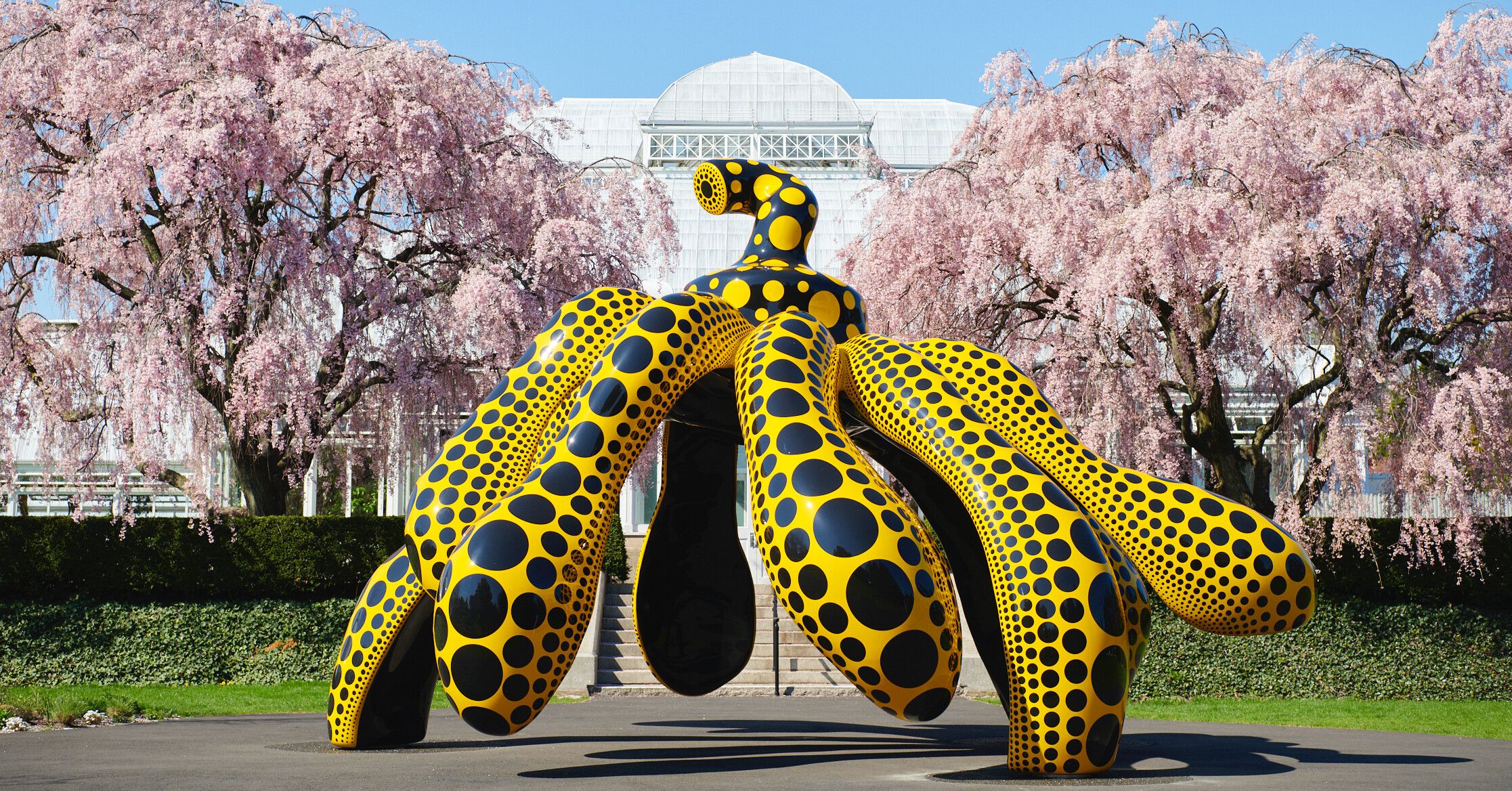 An installation view of an exhibition titled Kusama: Cosmic Nature at New York Botanical Garden in 2021.