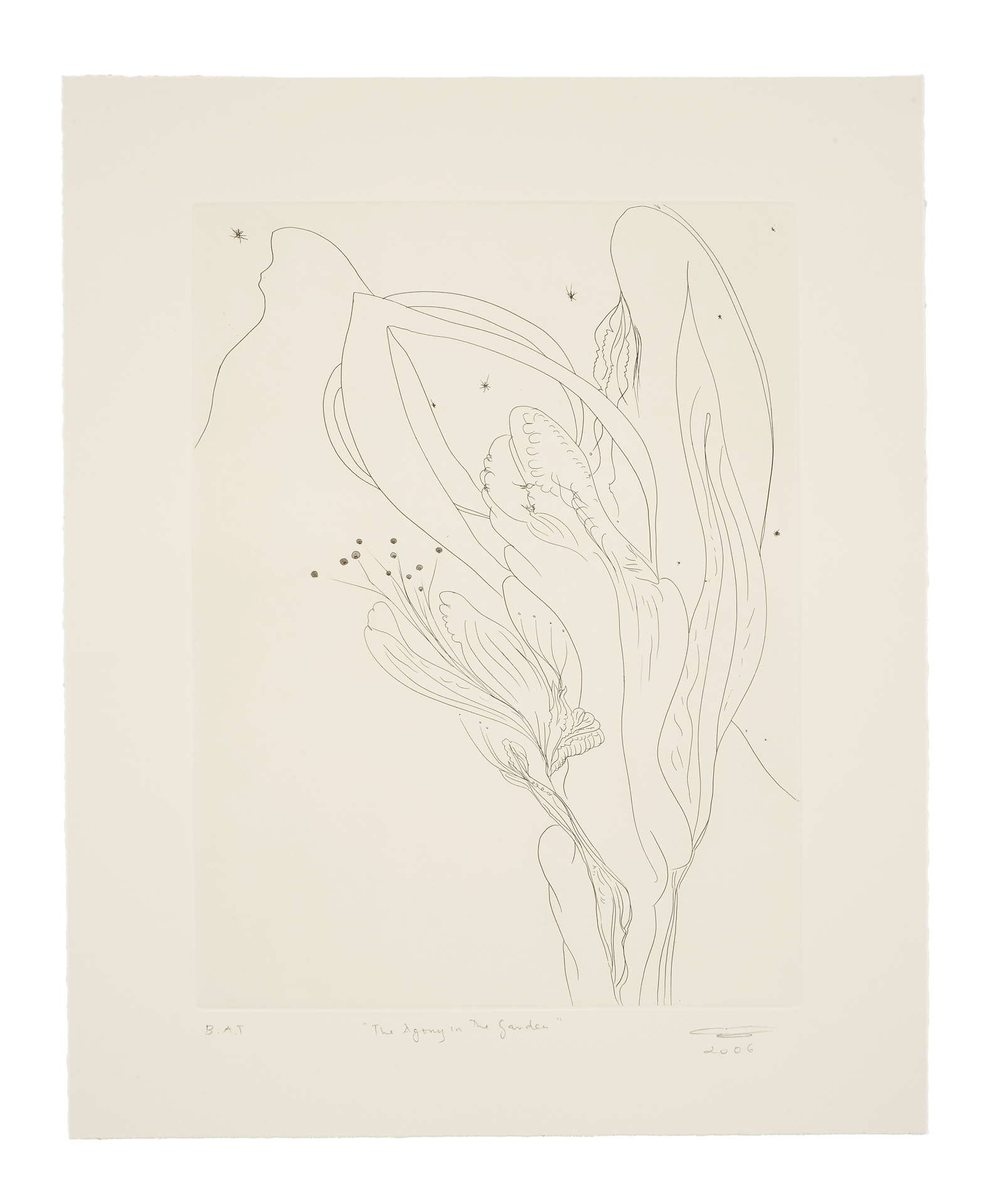A portfolio of 11 intaglio prints by Chris Ofili, titled The Agony in the Garden, dated 2007.