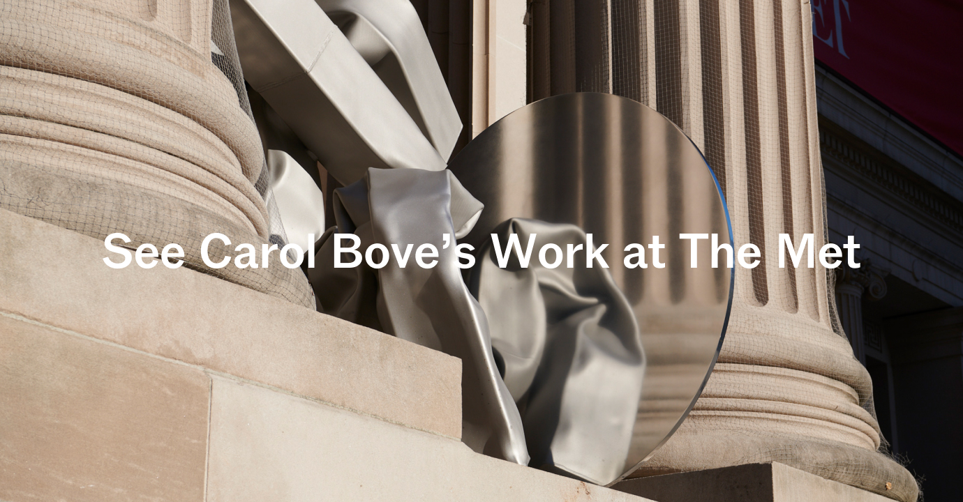 A graphic with text saying See Carol Bove's Work at The Met.