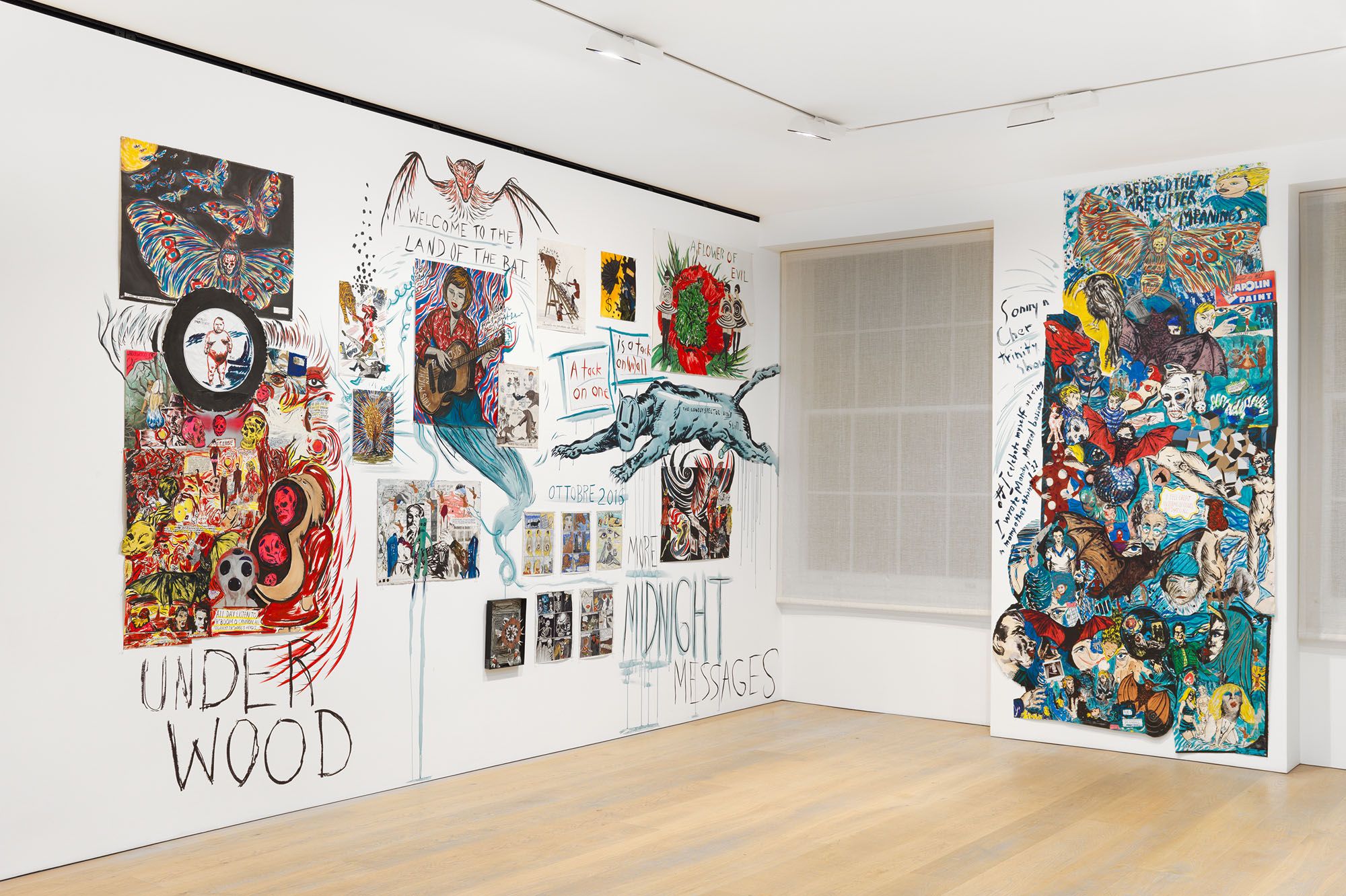 Collaboration with Raymond Pettibon | David Zwirner