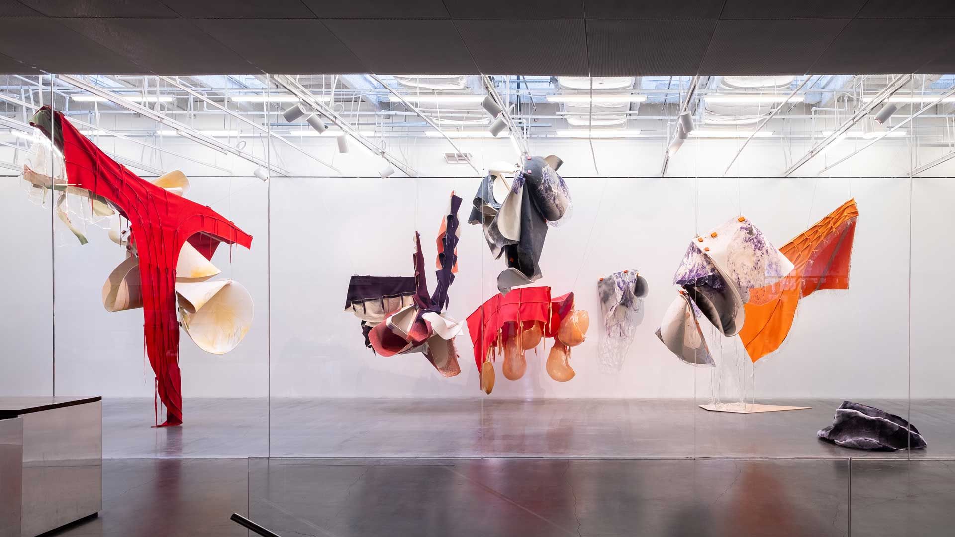 An installation view featuring works by Daiga Grantina