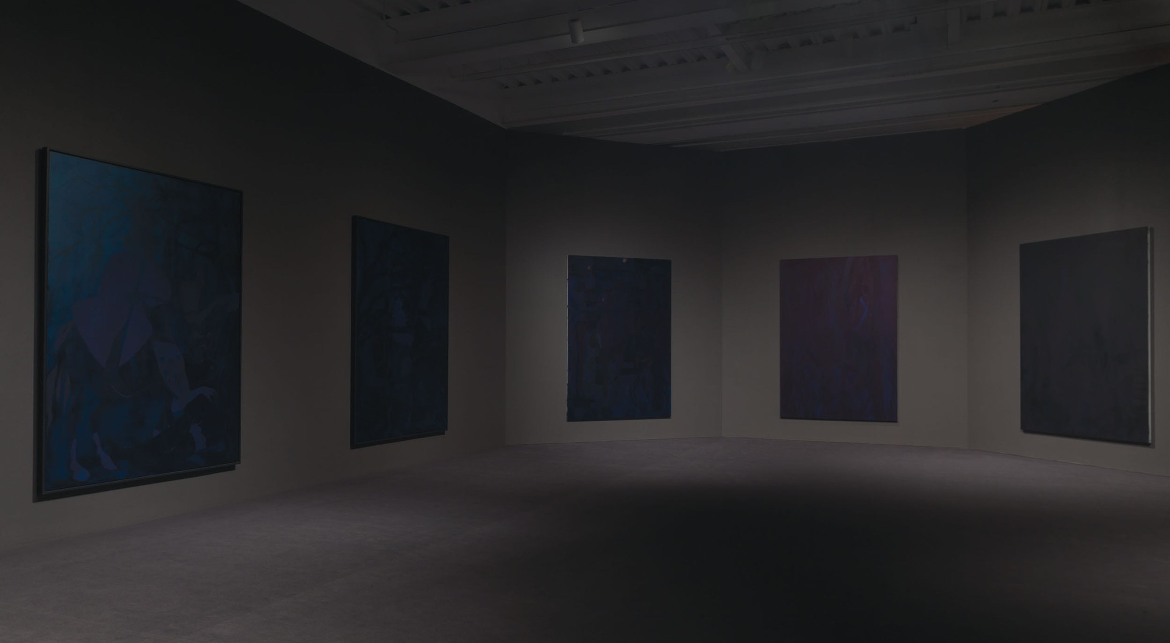 Installation view of the exhibition, Chris Ofili: Night and Day, at the New Museum in New York, dated 2014.