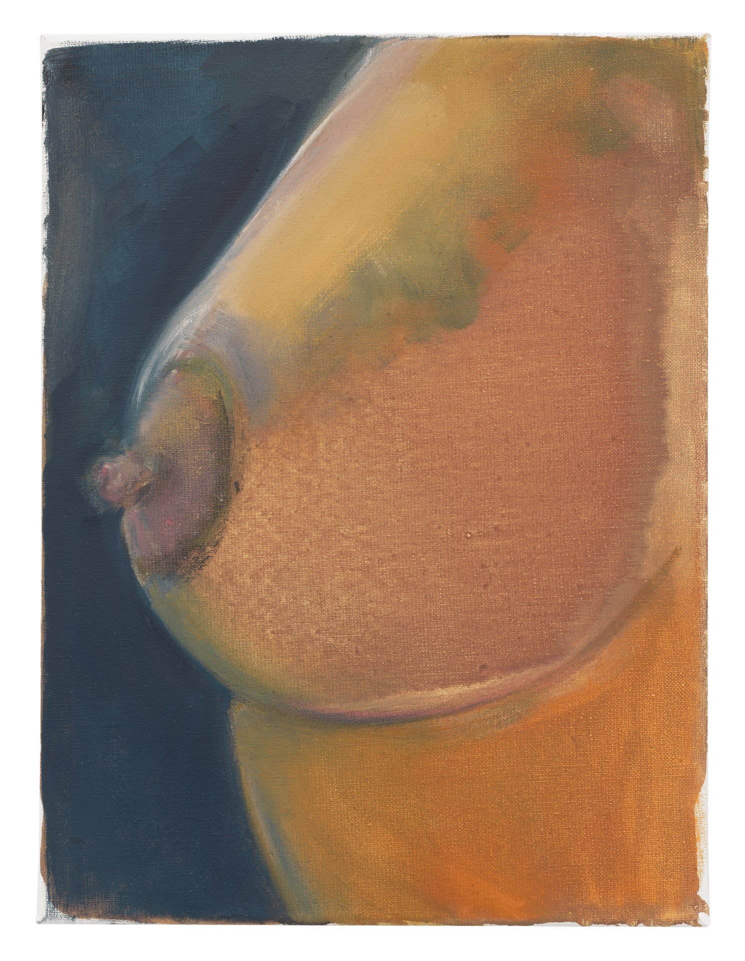 A painting by Marlene Dumas, titled Areola, dated 2018. 