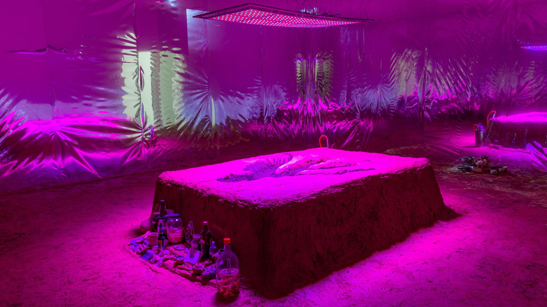 An installation photo featuring works by Candice Lin