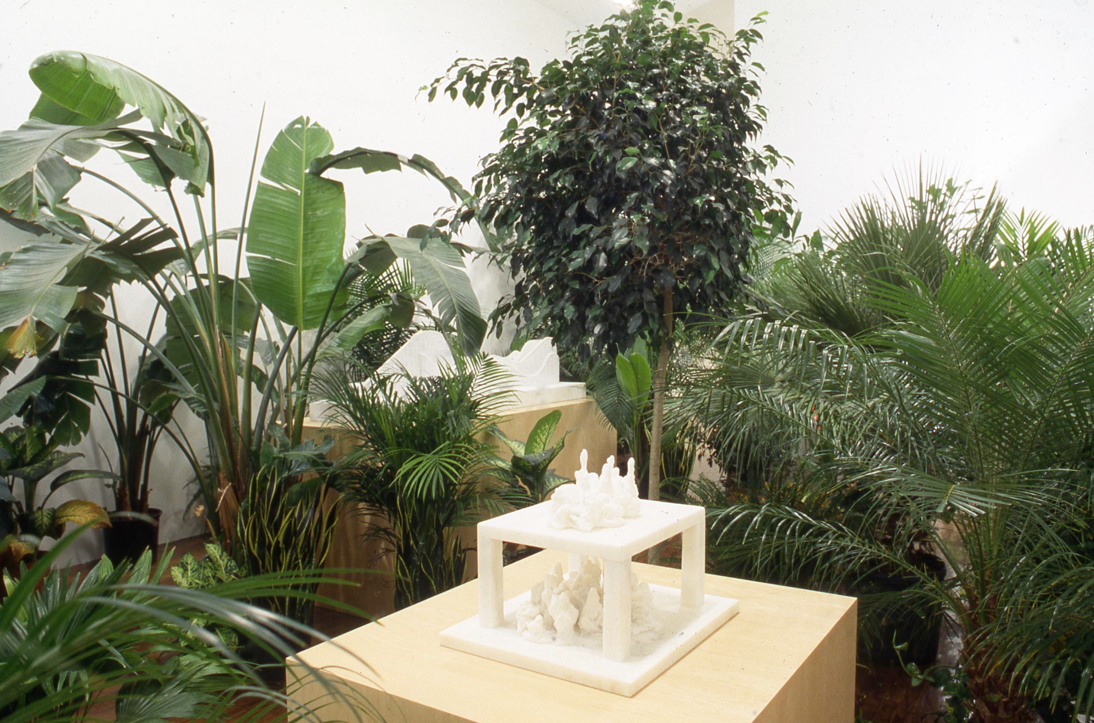 An installation view of the exhibition Yutaka Sone, at David Zwirner New York, dated 1999.