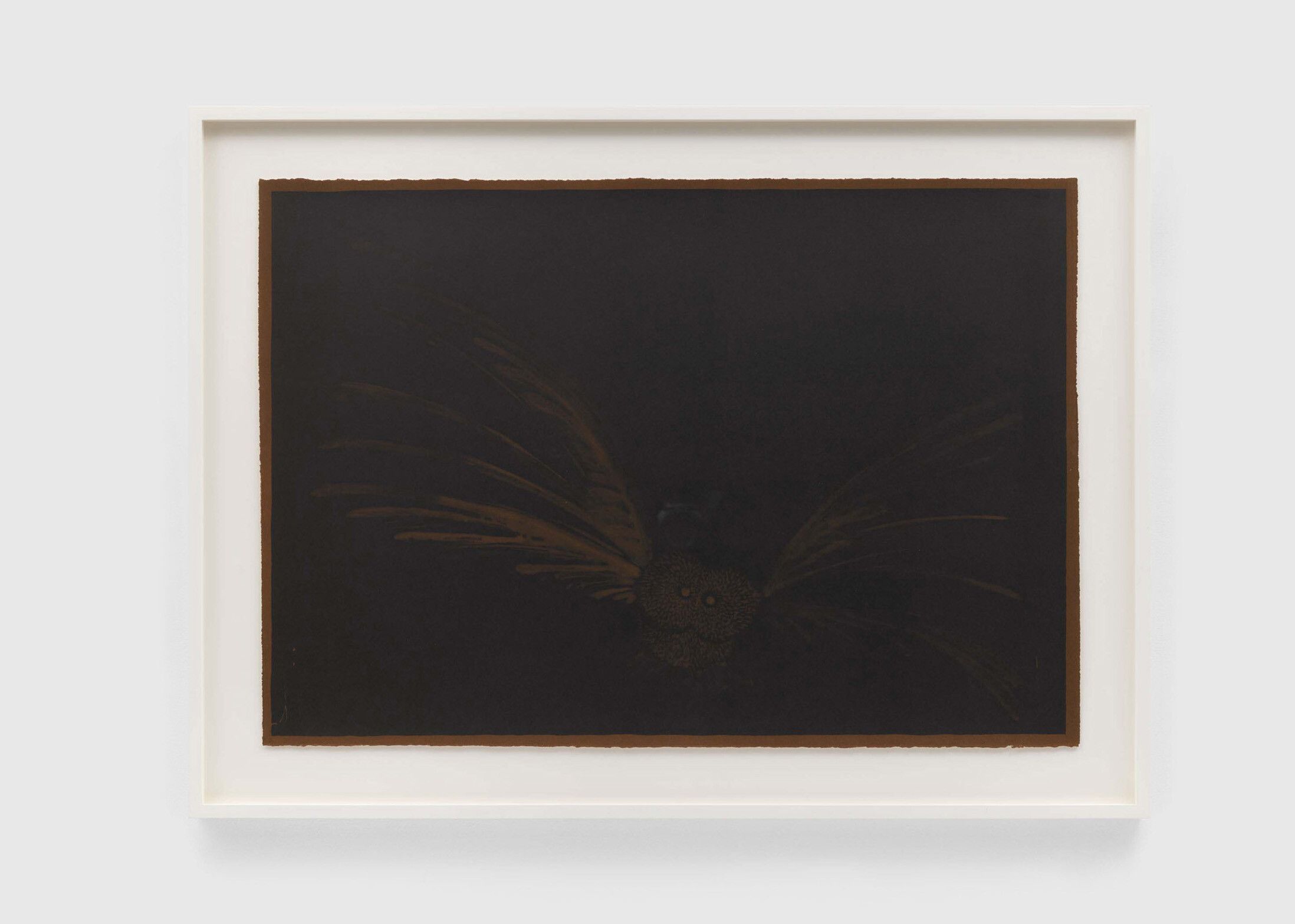 A print by Ruth Asawa, titled Owl II (TAM.1491), dated 1965.