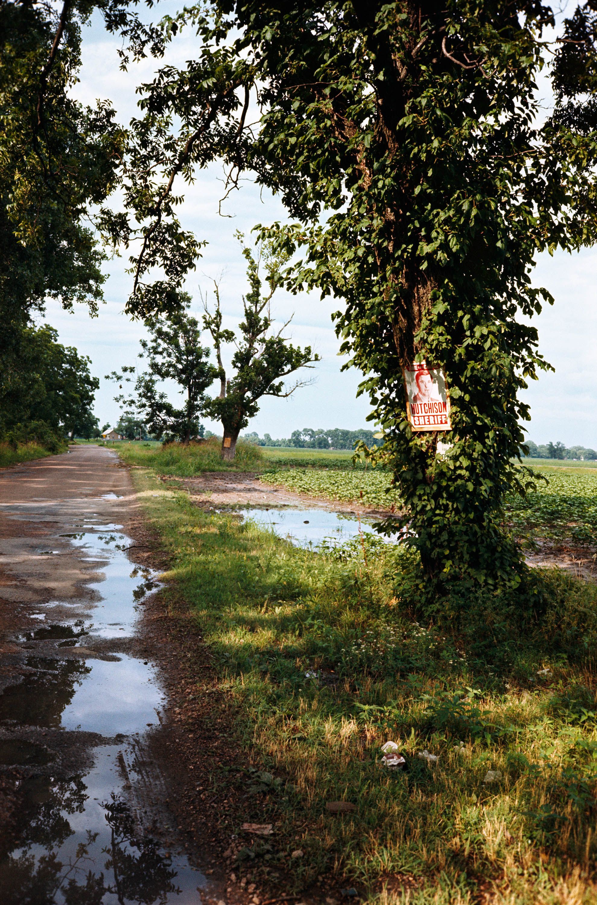 An untitled photograph by William Eggleston, circa 1970 to 1973.