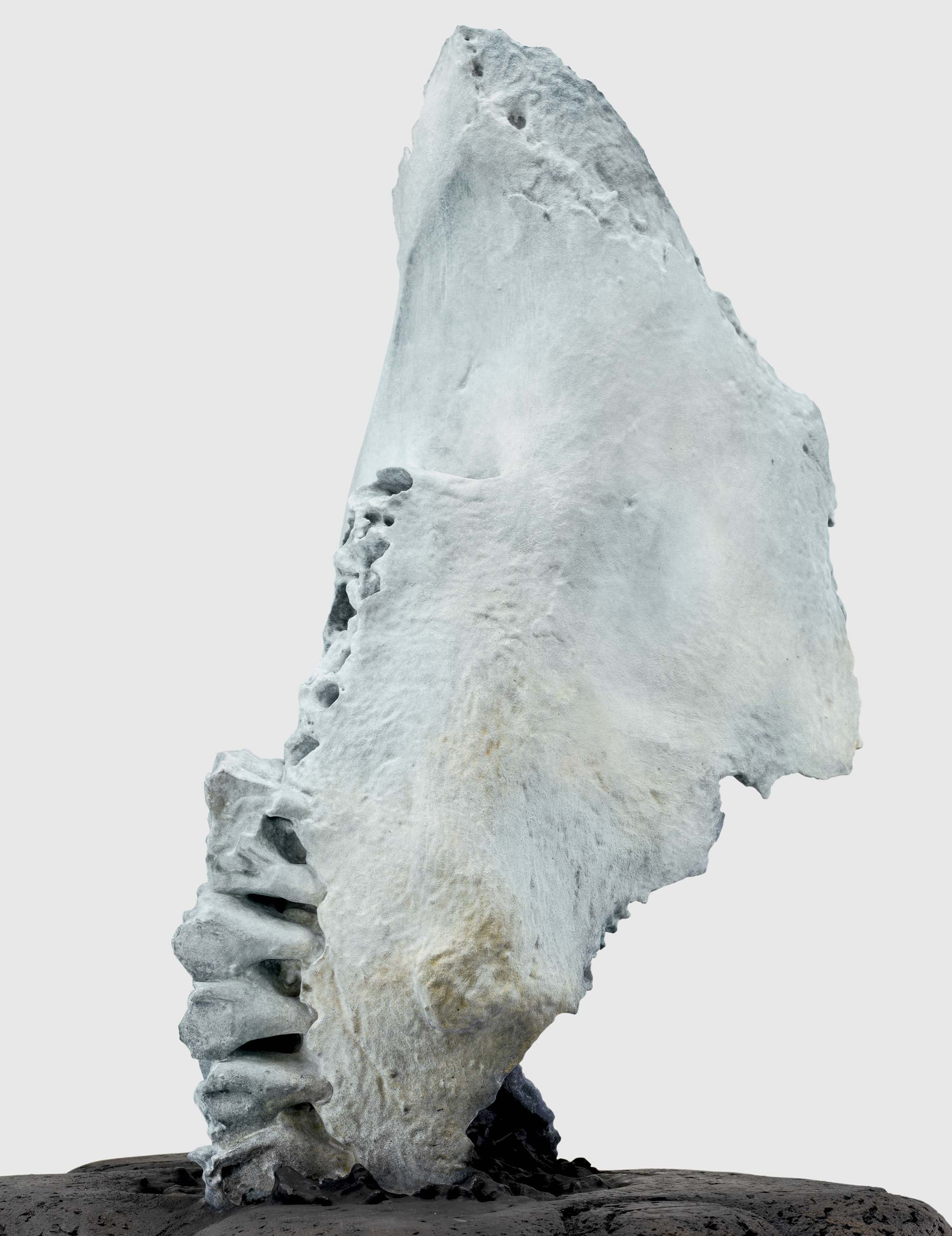 A detail from a sculpture by Huma Bhabha, titled Nothing Falls, dated 2024.