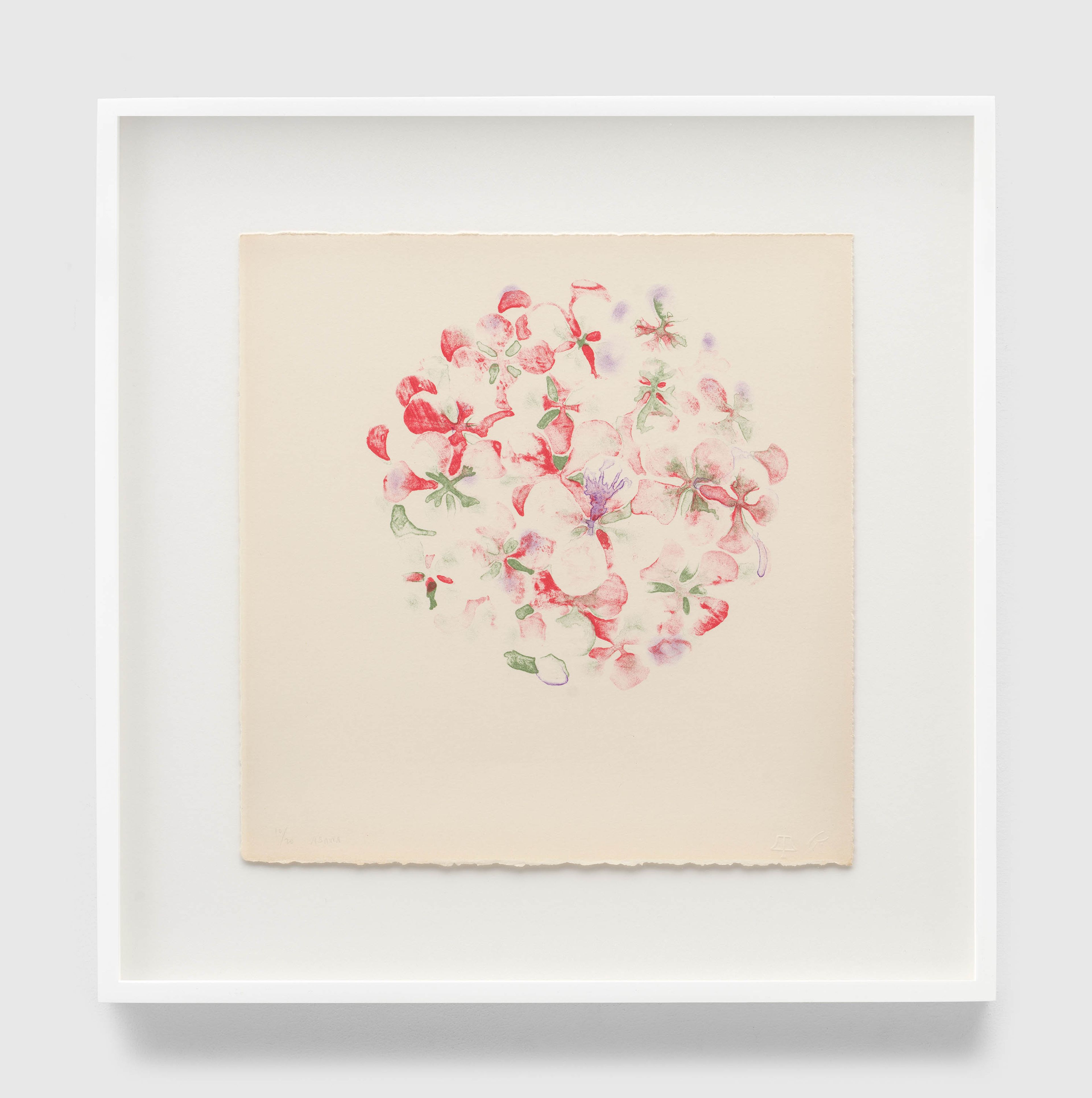 A print by Ruth Asawa, called Untitled (TAM.1493, Hydrangea, from the Portfolio Flowers), dated 1965.