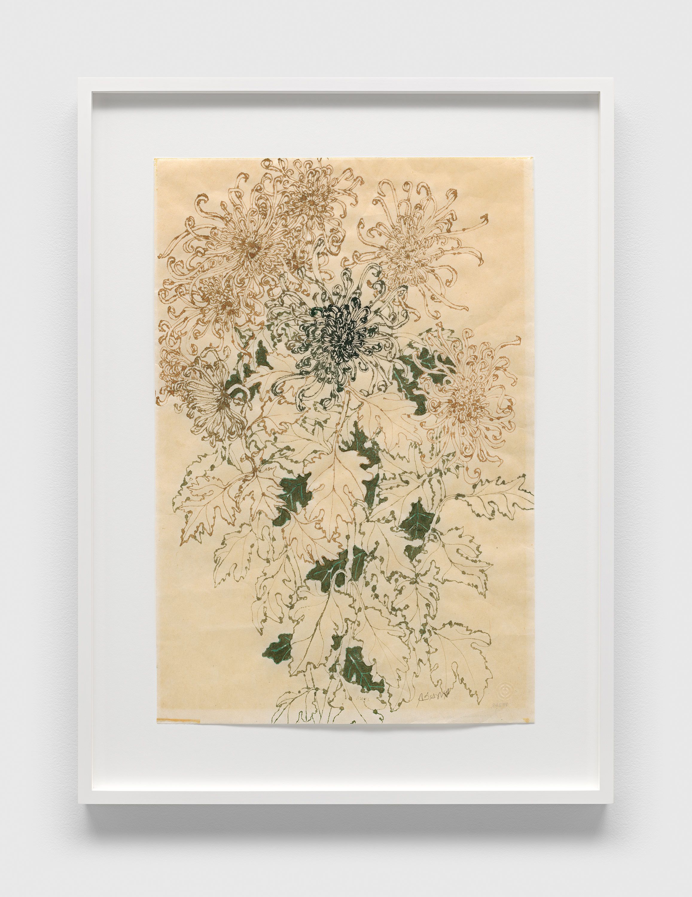 A brown and green ink on technical paper artwork by Ruth Asawa, titled Untitled (PF.268, Chrysanthemums), circa 1960 to 1969.