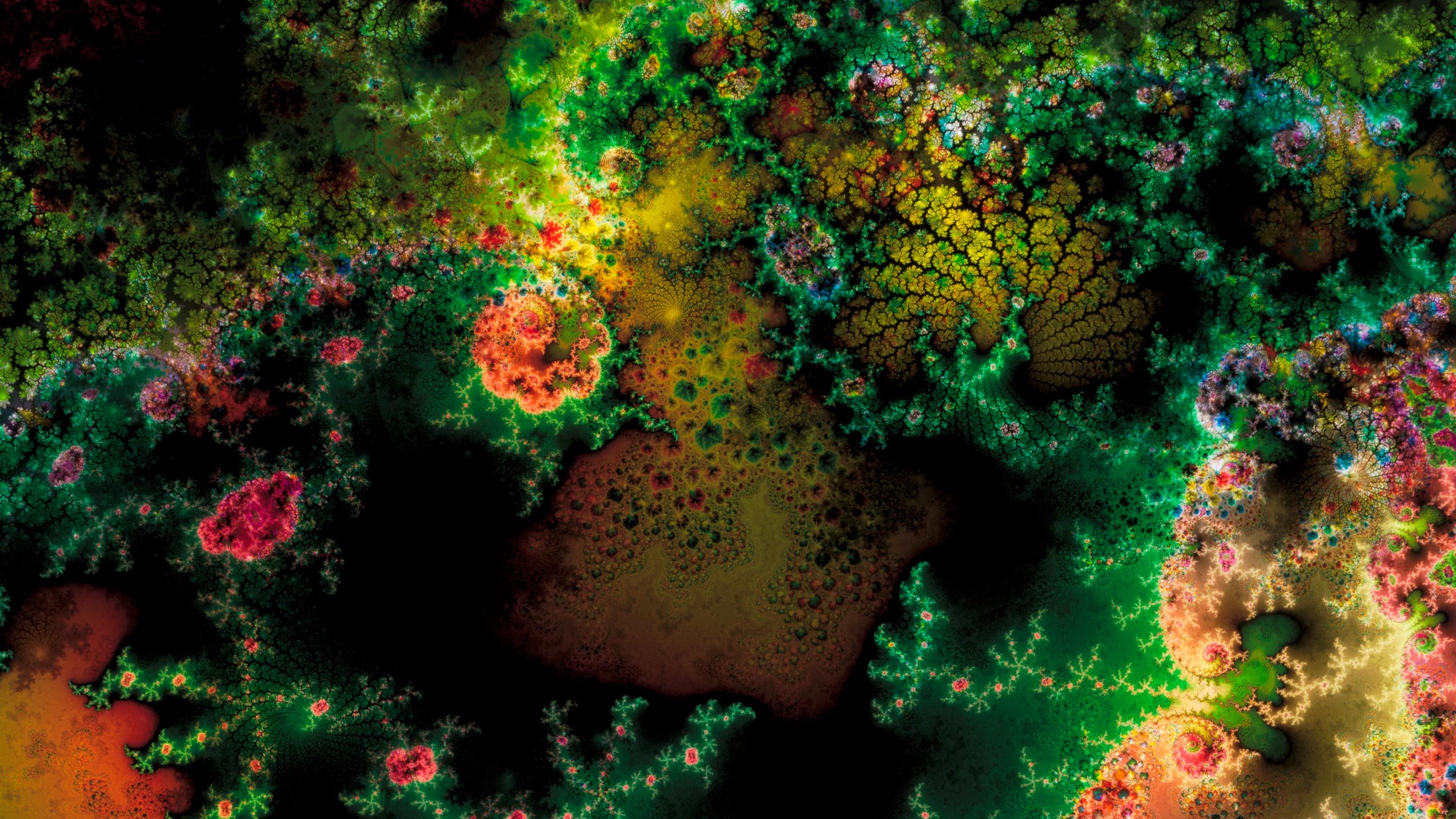 Detail of a Thomas Ruff print, titled d.o.pe, dated 2023