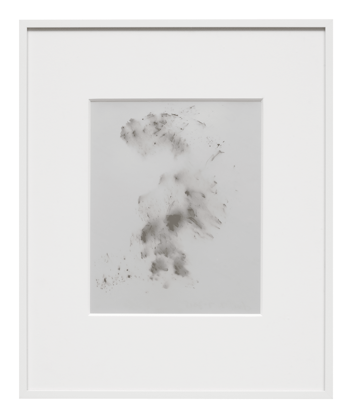 A chemigram on chromogenic paper by James Welling, titled Chemical, dated 2015.