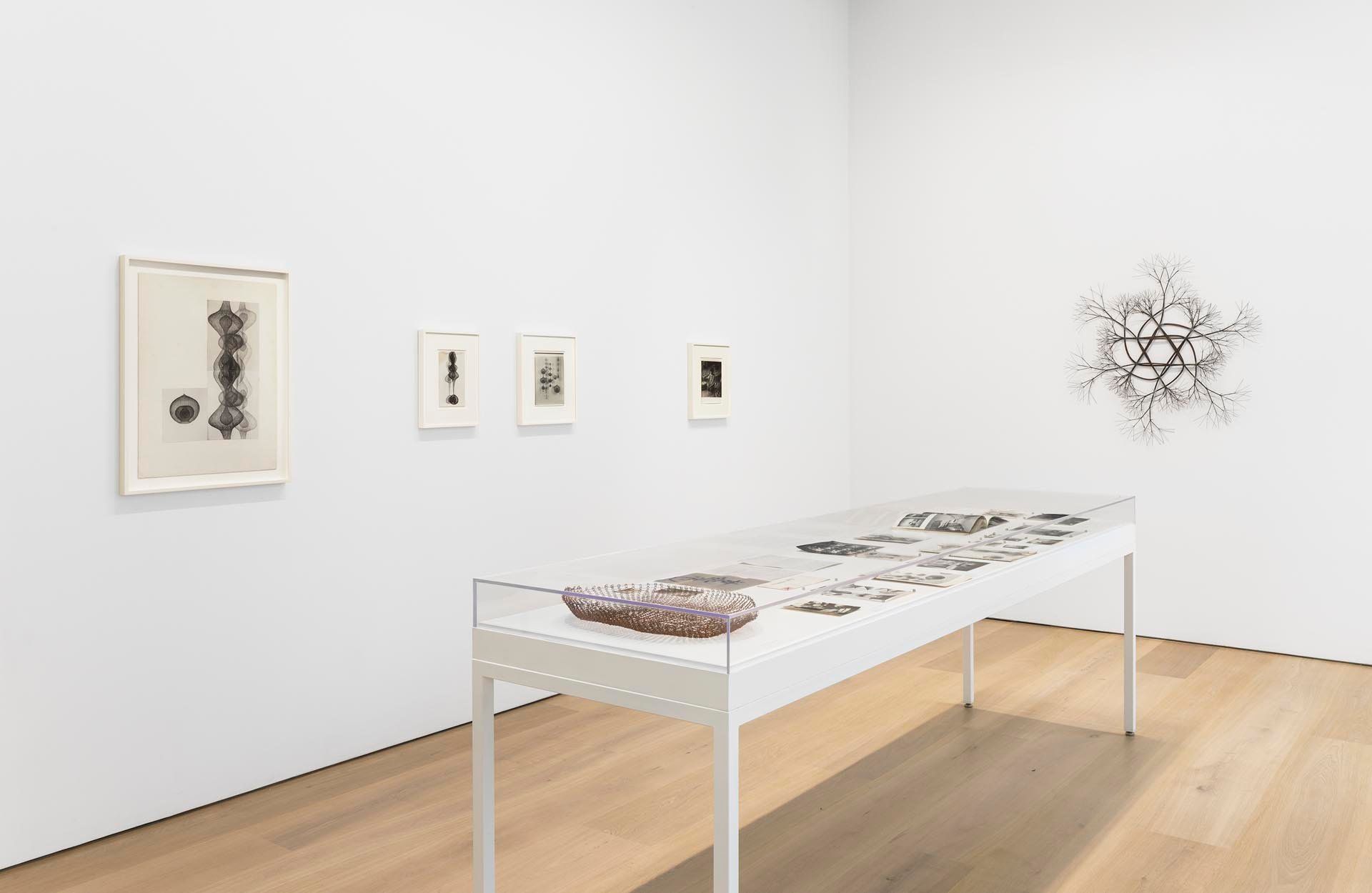 Installation view of the exhibition Ruth Asawa, at David Zwirner New York, dated 2017.
