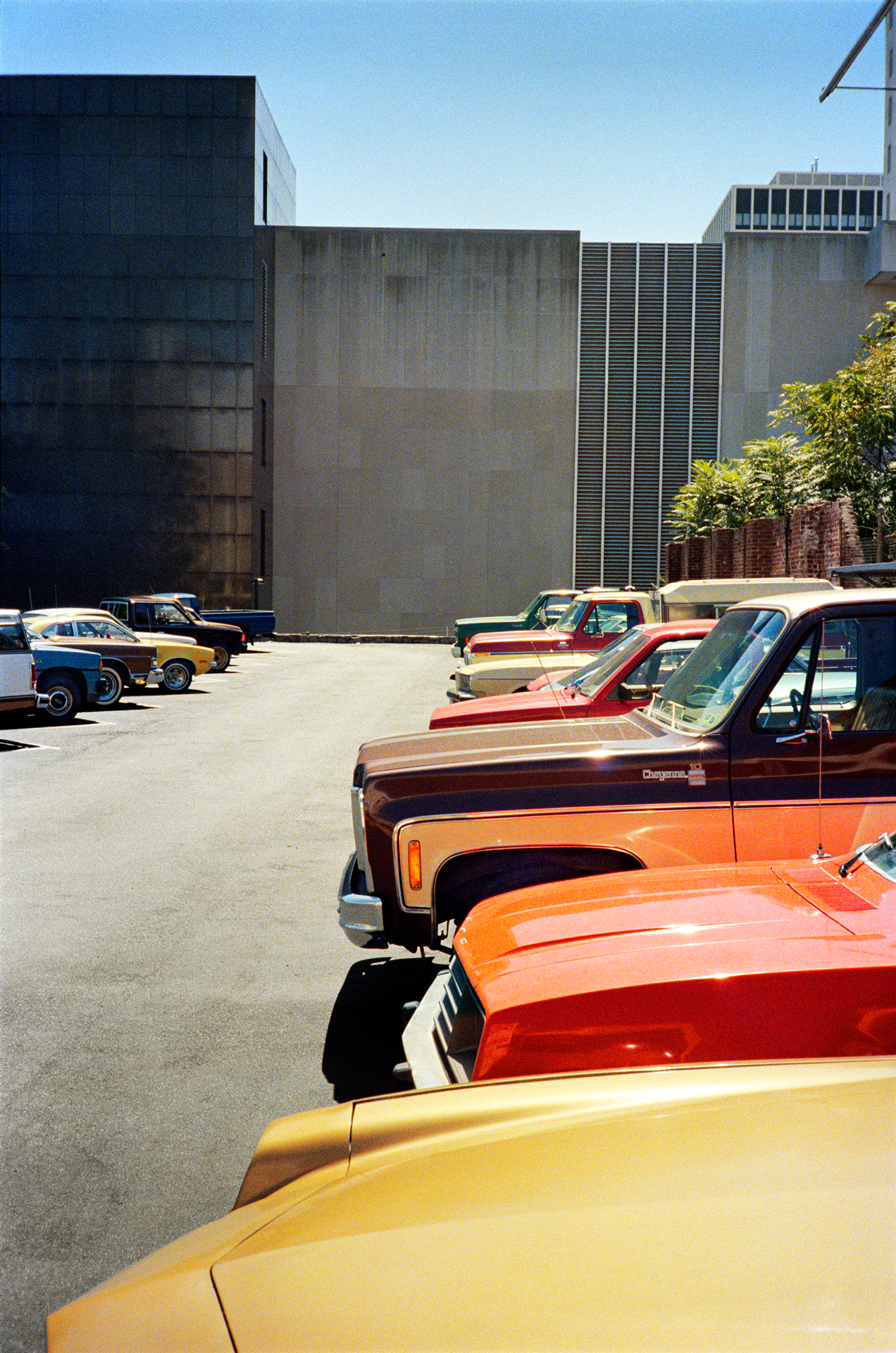 An untitled photograph by William Eggleston, circa 1983 to 1986.