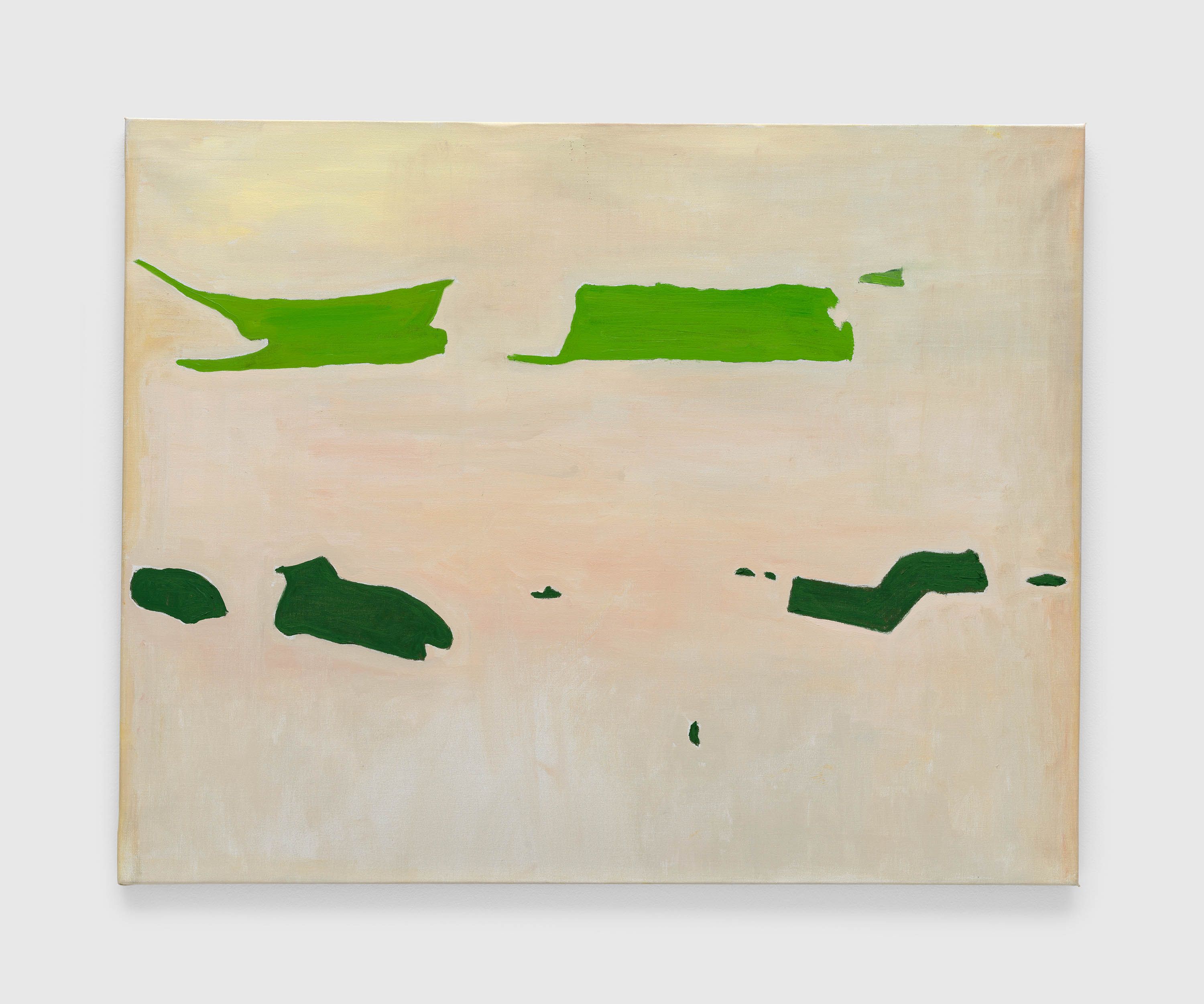 RAOUL DE KEYSER REPLAY 2008 画集 RAOUL DE KEYSER REPLAY 2008 画集