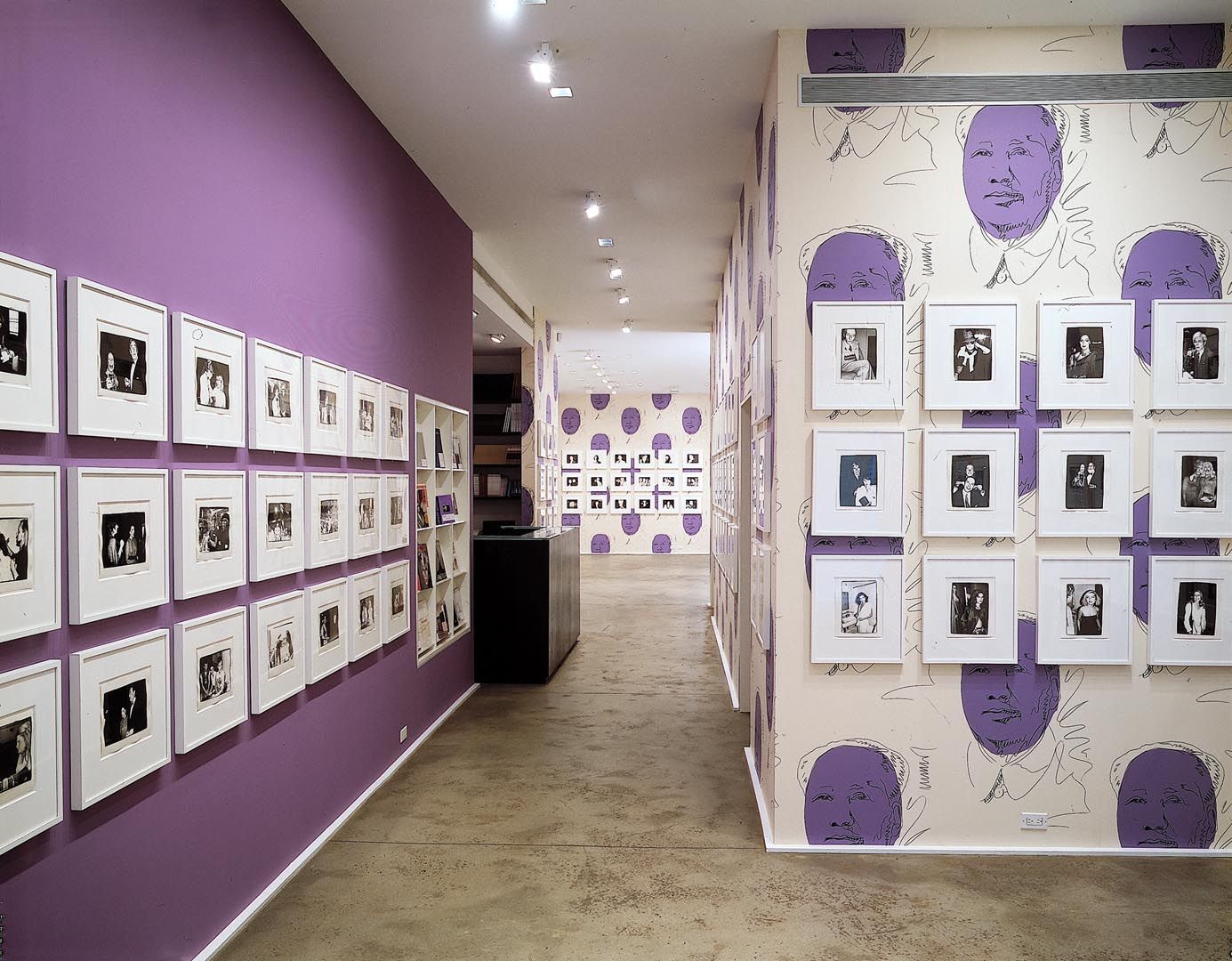 Installation view of the exhibition Andy Warhol Warhol's World: Photography &amp; Television, at Zwirner and Wirth in New York, dated 2006. 