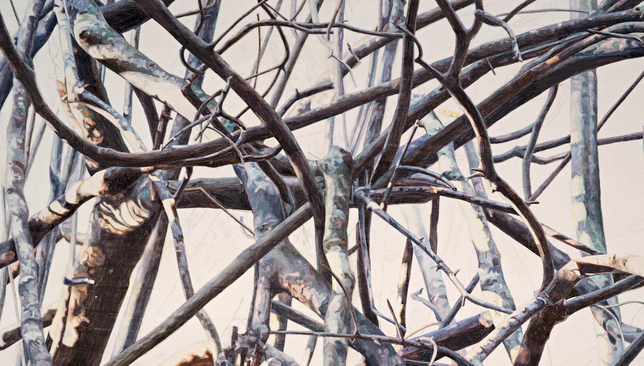 Detail of a work by Toba Khedoori, TITLE TBC, dated 2022