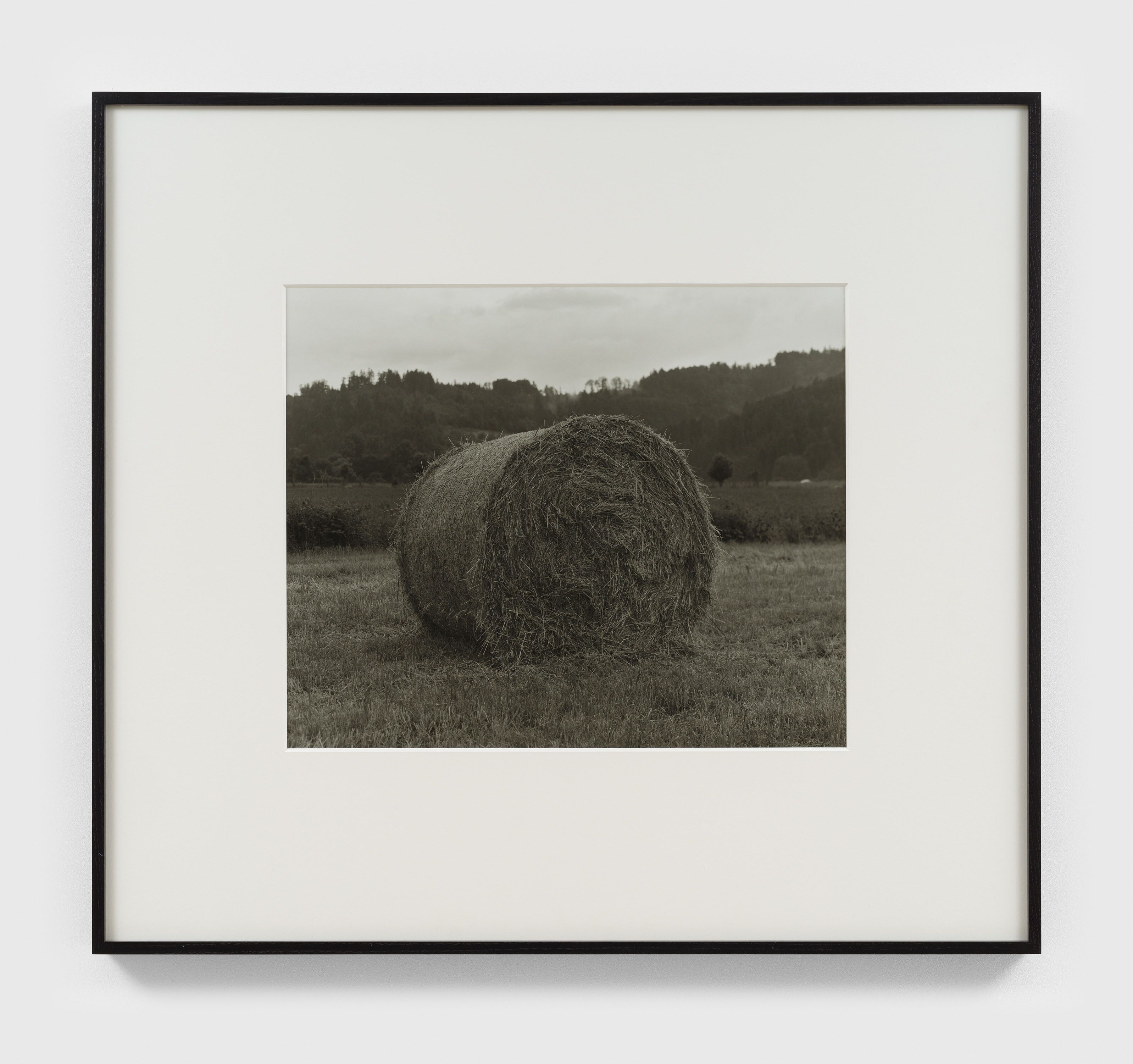 A photograph by Christopher Williams, titled Naturpark Schwarzwald Mitte/Nord neben Bergach June 8, 2010, dated 2010.