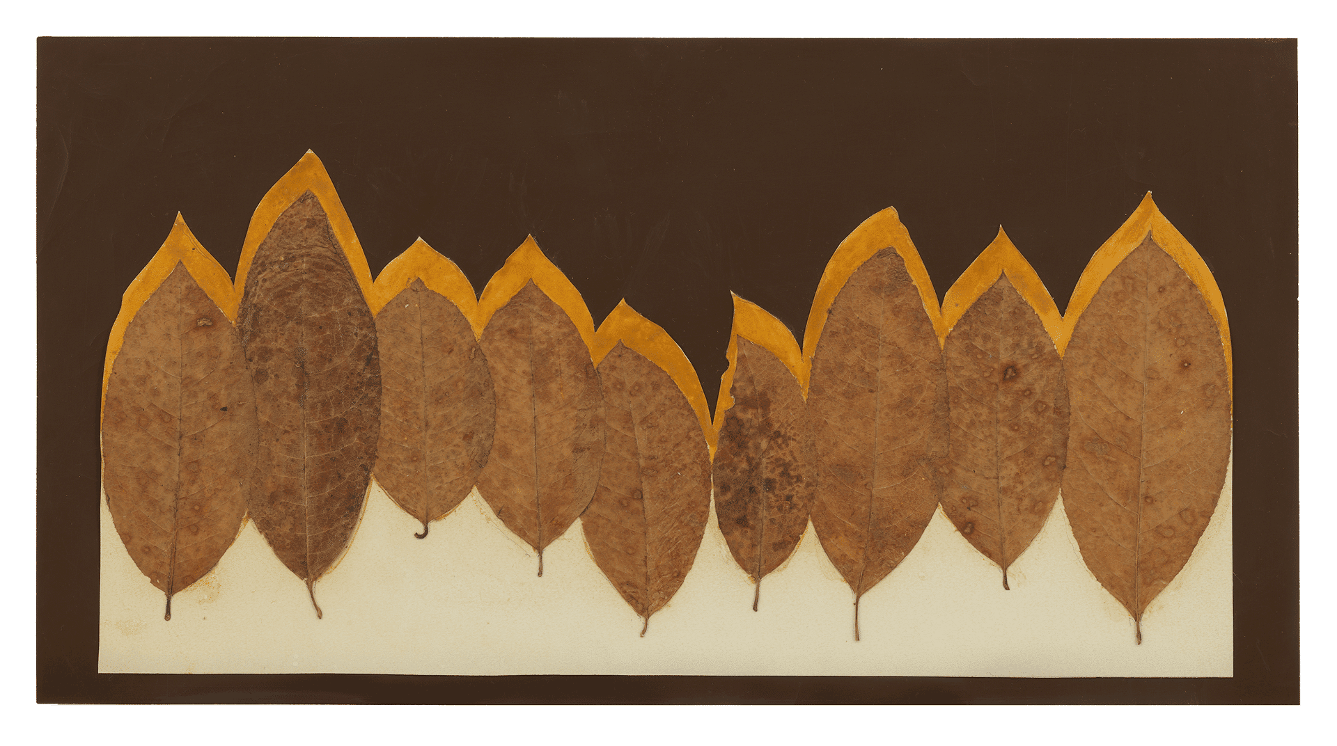 A drawing by Josef Albers titled Leaf Study 1, dated circa 1940.