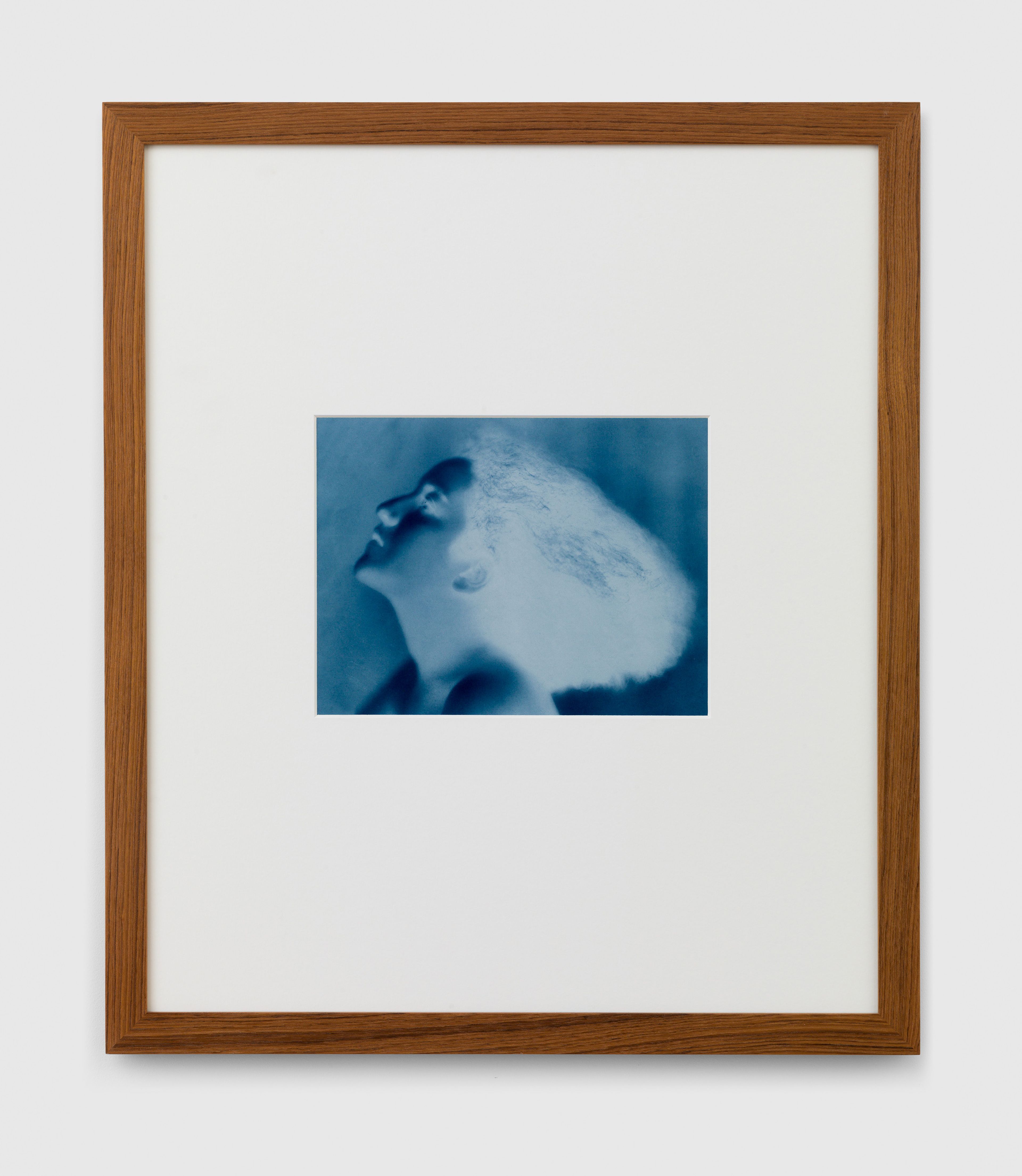 A photograph by Thomas Ruff, titled neg◊nus_01, dated 2014.