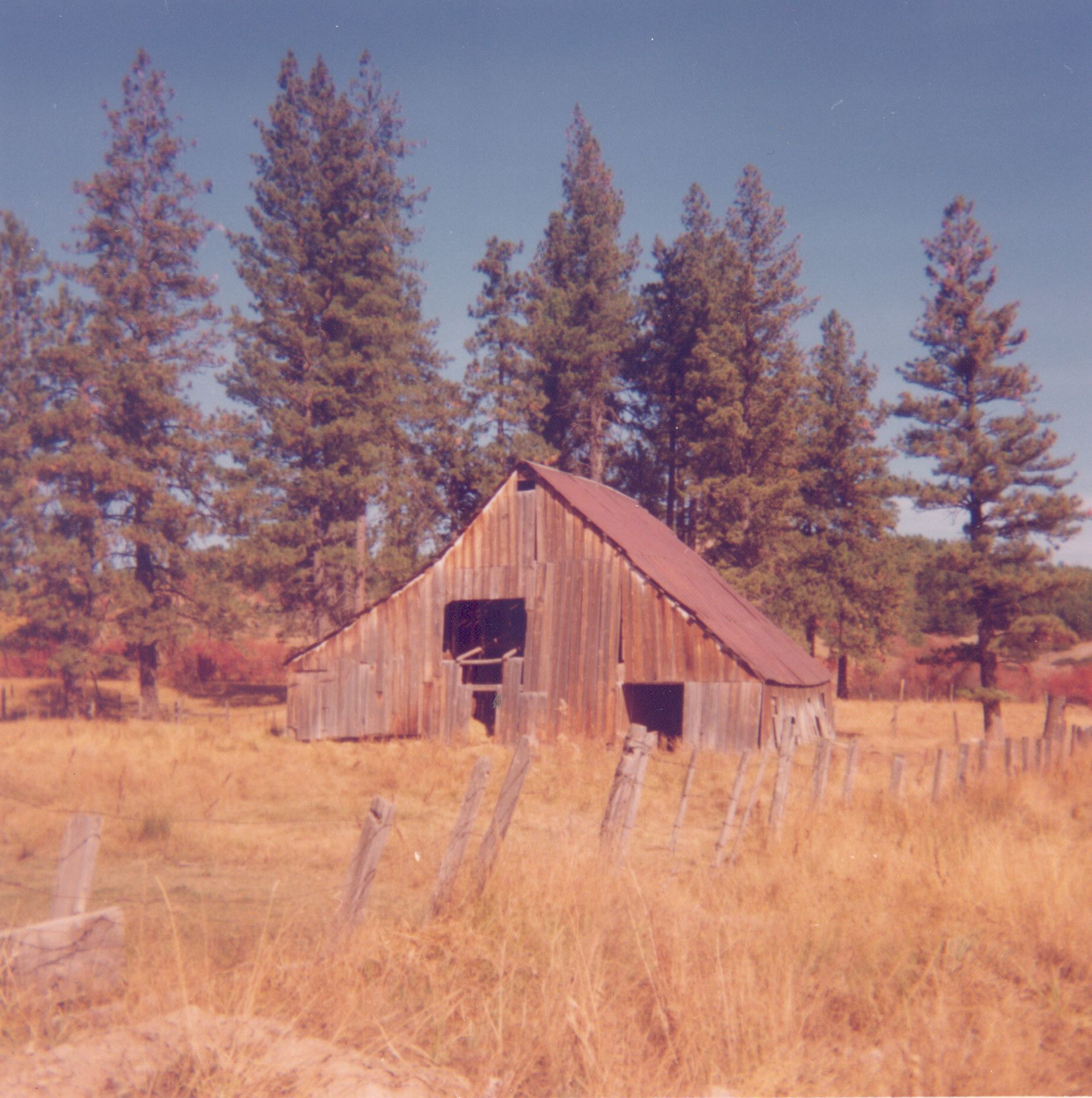 A photograph courtesy James Castle Collection and Archive, of the former Castle family barn in Garden Valley, Idaho.