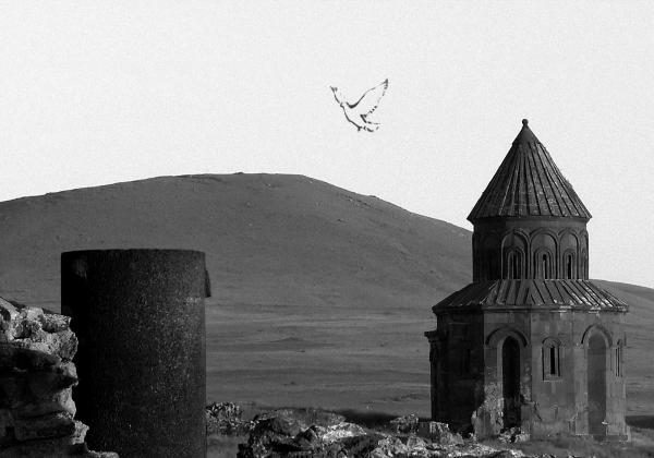 Francis Alÿs — The Silence of Ani