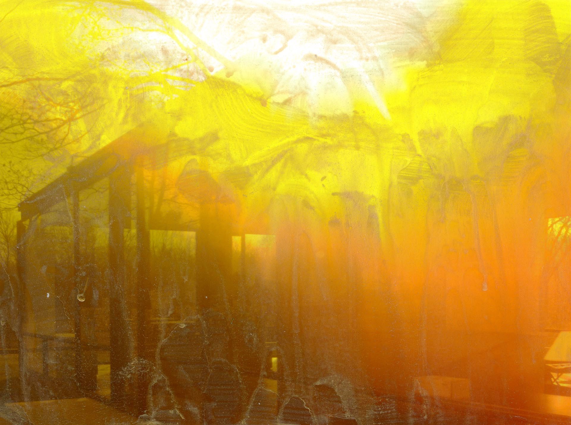 A photograph by James Welling, titled March Sunburst, dated 2009.