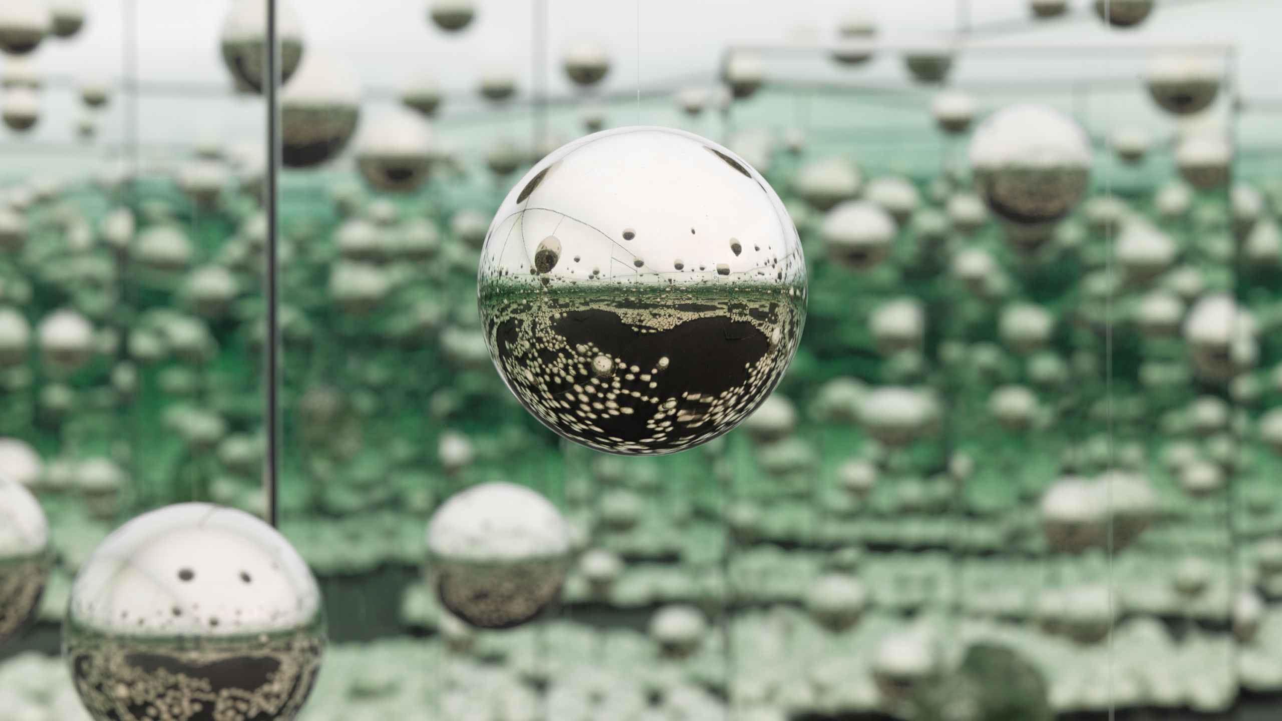 Yayoi Kusama - Artworks & Biography | David Zwirner
