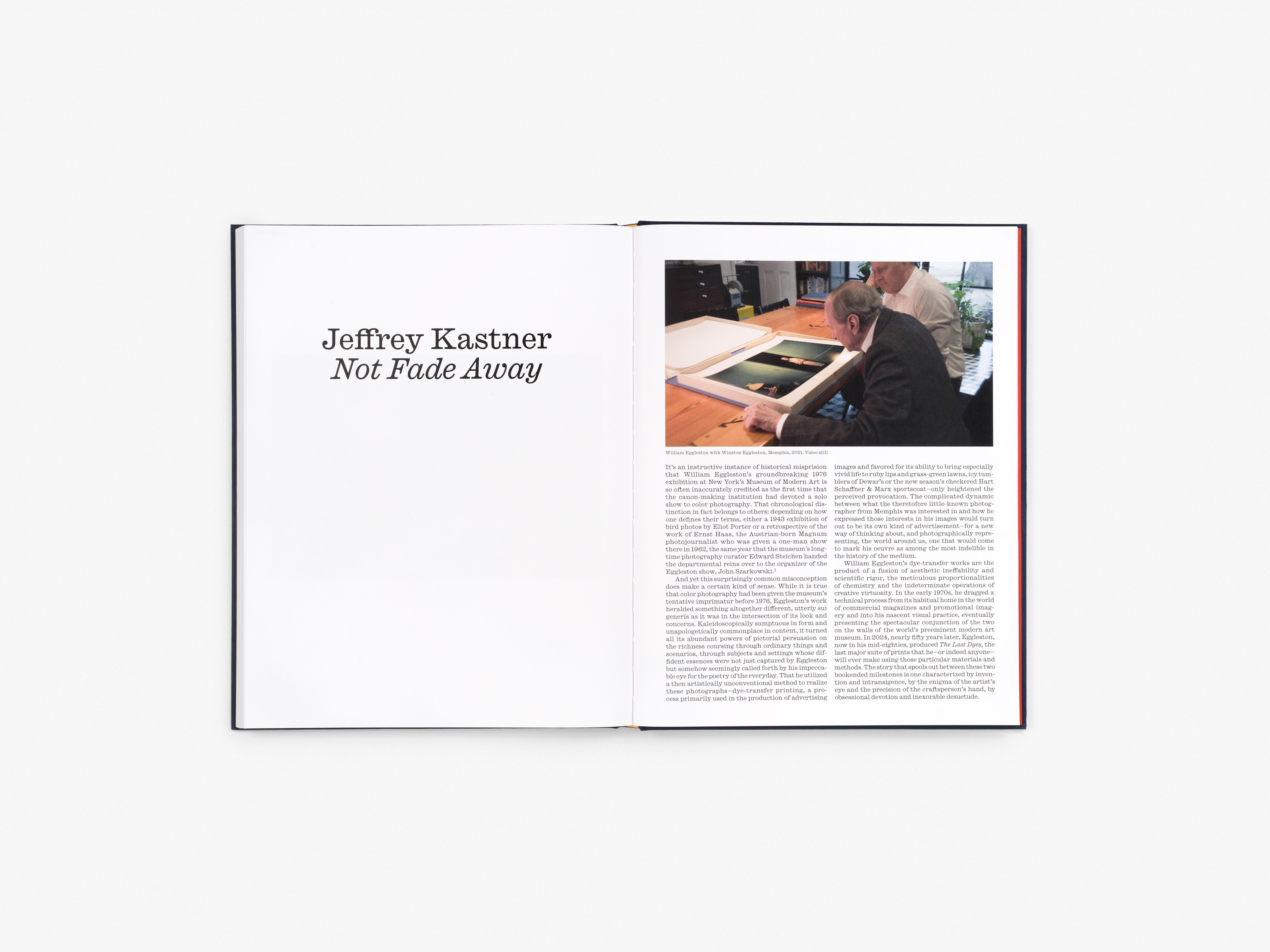 William Eggleston: The Last Dyes | Books | David Zwirner