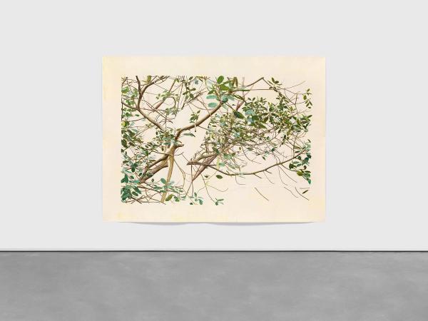 Toba Khedoori — Untitled
