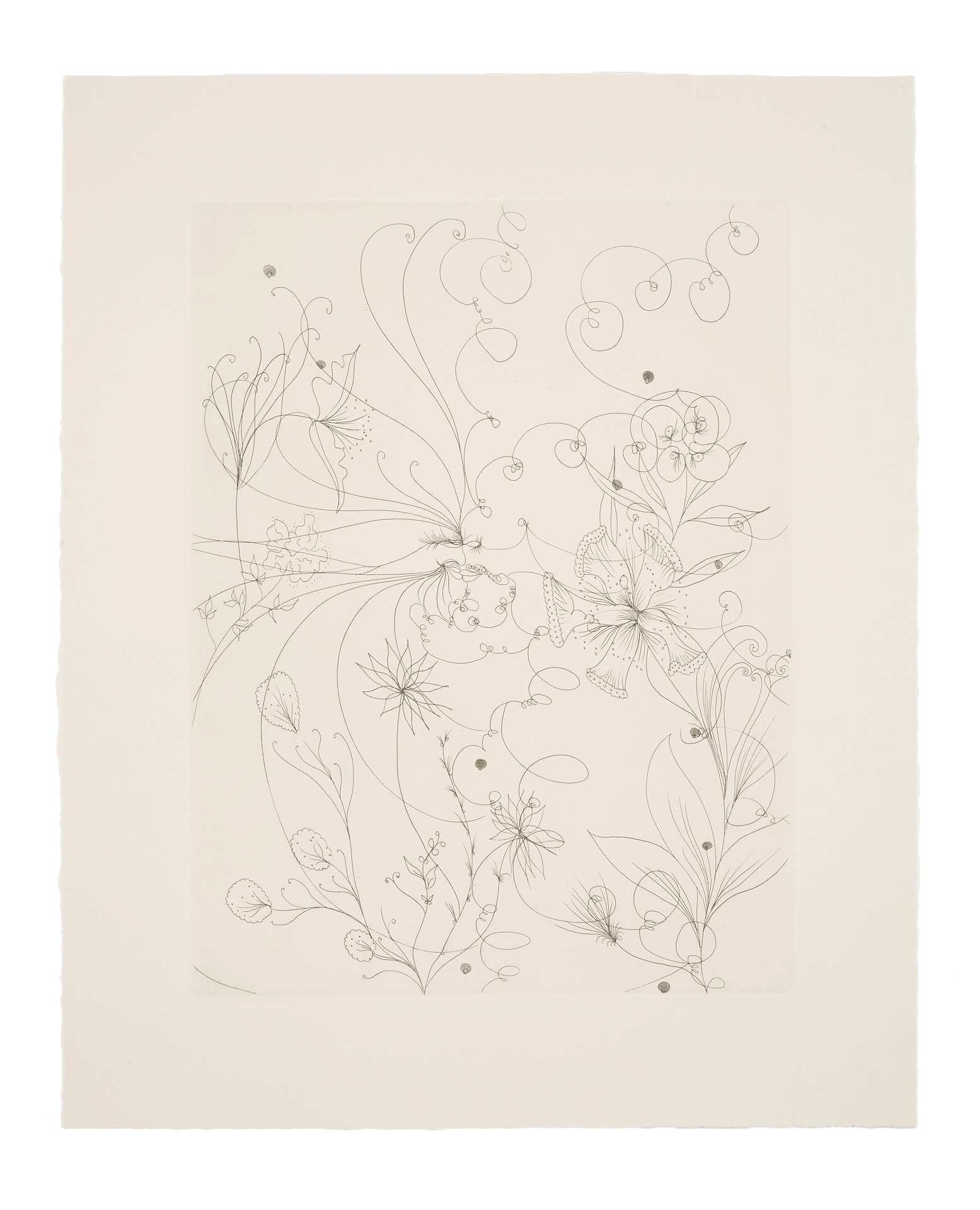 A portfolio of 11 intaglio prints by Chris Ofili, titled The Agony in the Garden, dated 2007.