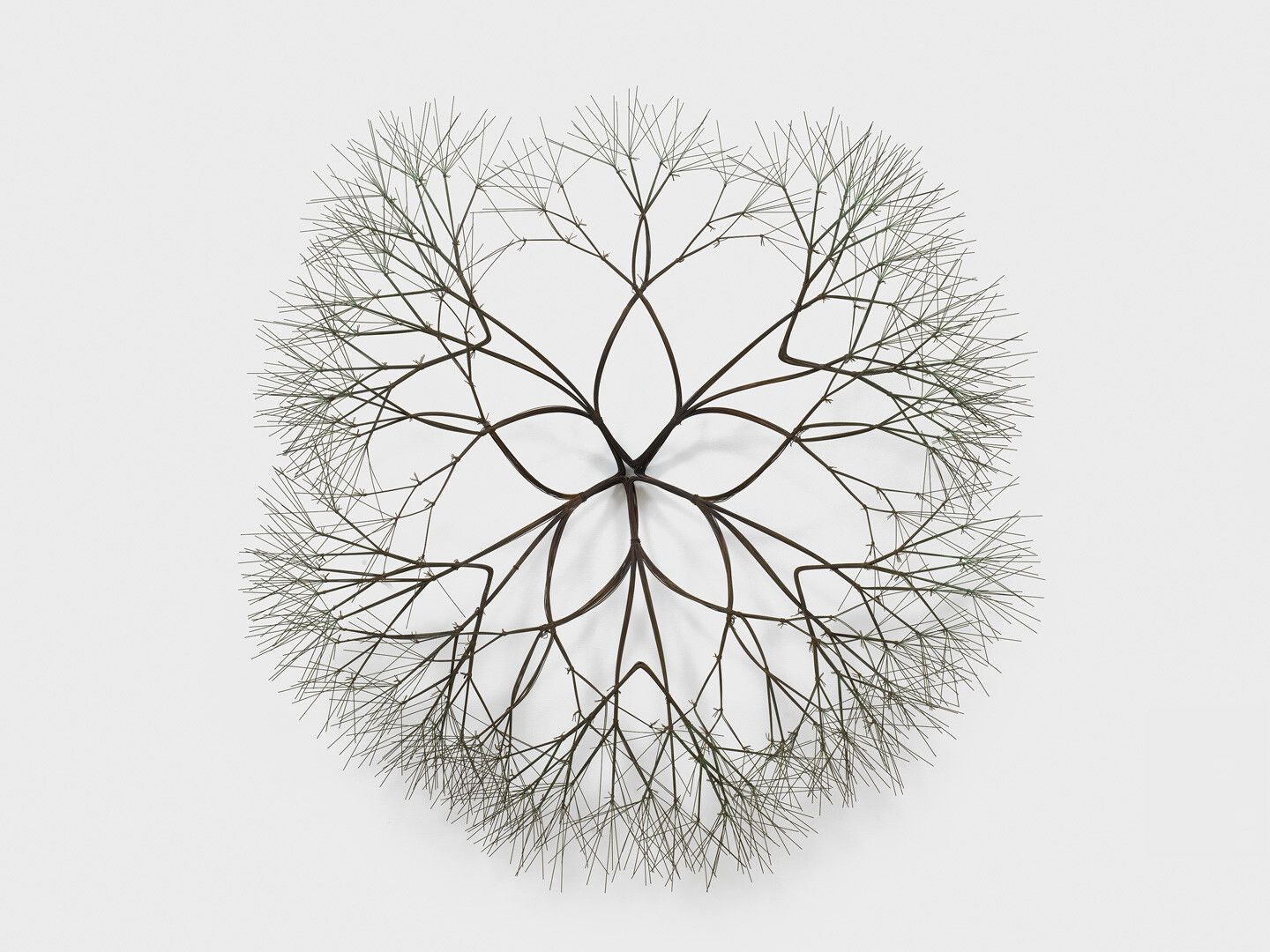 A wall-mounted bronze wire sculpture by Ruth Asawa, titled Untitled (S.307, Wall-Mounted Tied-Wire, Closed-Center, Five-Petaled Form Based on Nature), circa 1970-1979.
