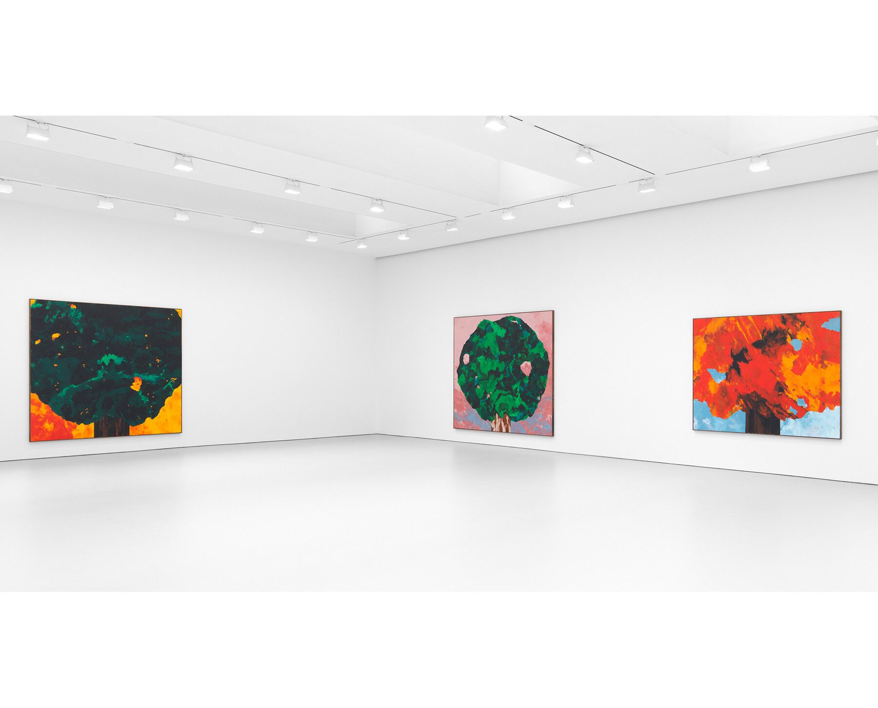 An installation view of the exhibition titled Harold Ancart: Traveling Light, at David Zwirner, New York, in 2020.