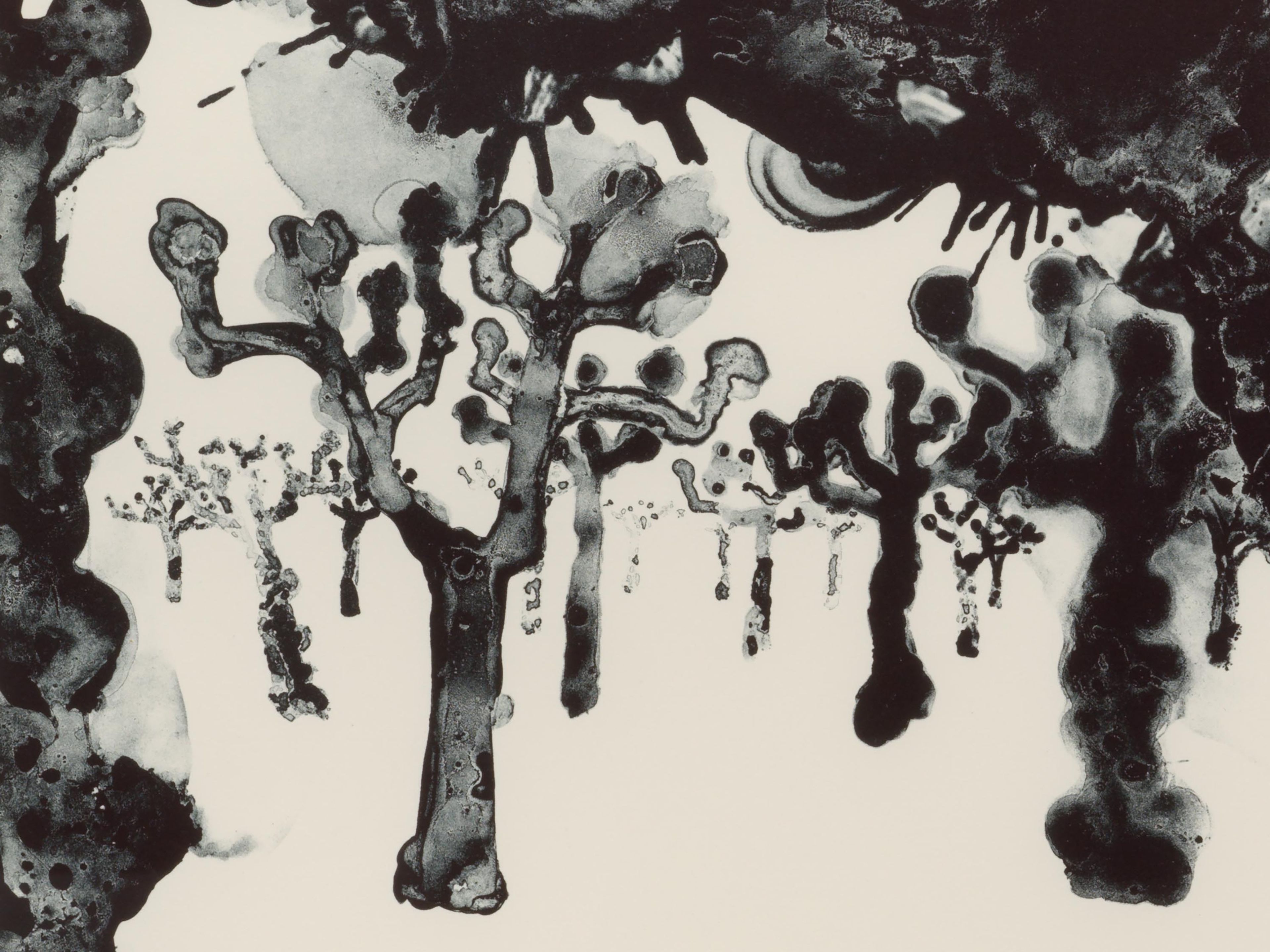 A detail from a print by Ruth Asawa, titled Plane Trees II (TAM.1472), dated 1965.