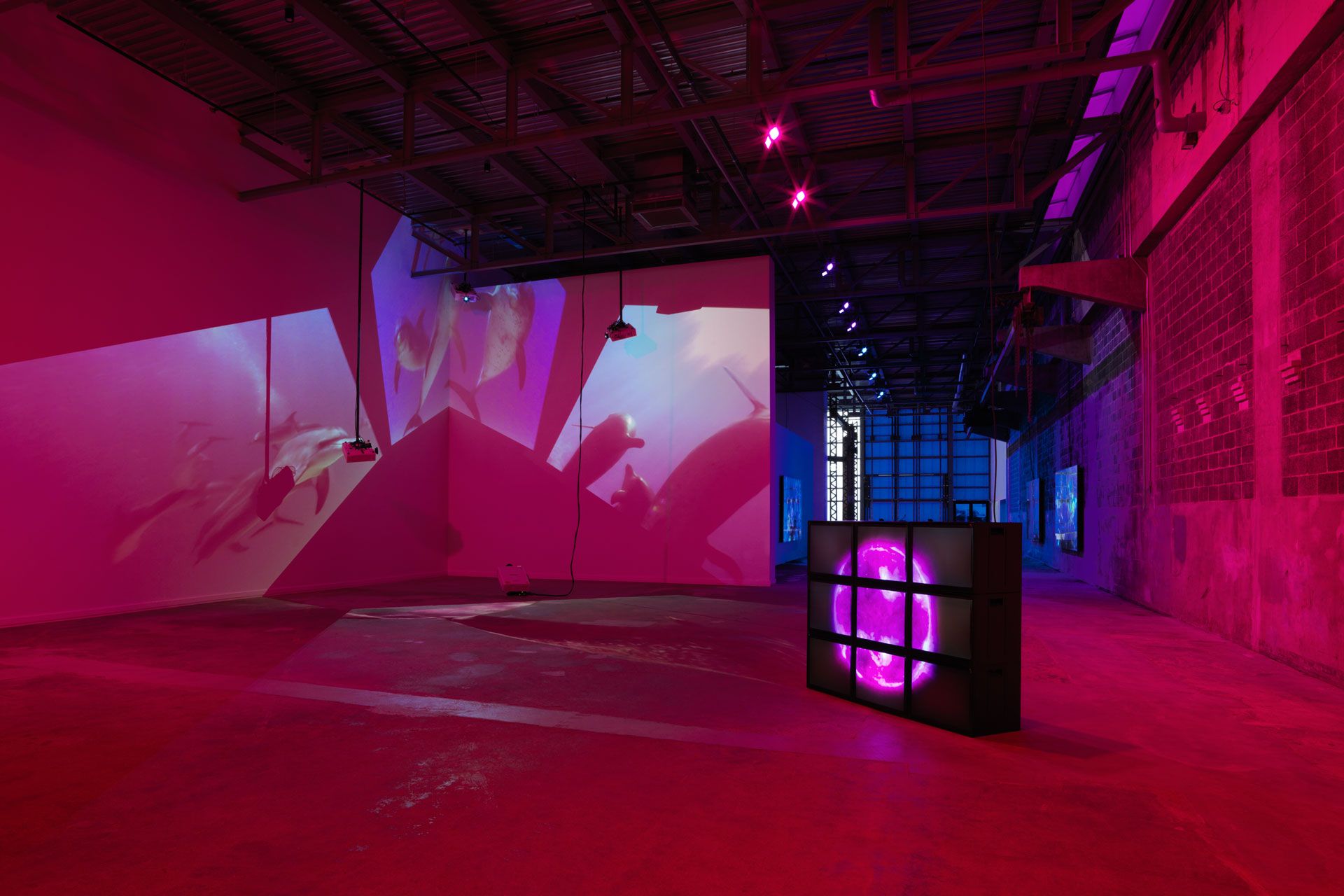 An installation view featuring works by Diana Thater at ICA Watershed, Boston, dated 2018