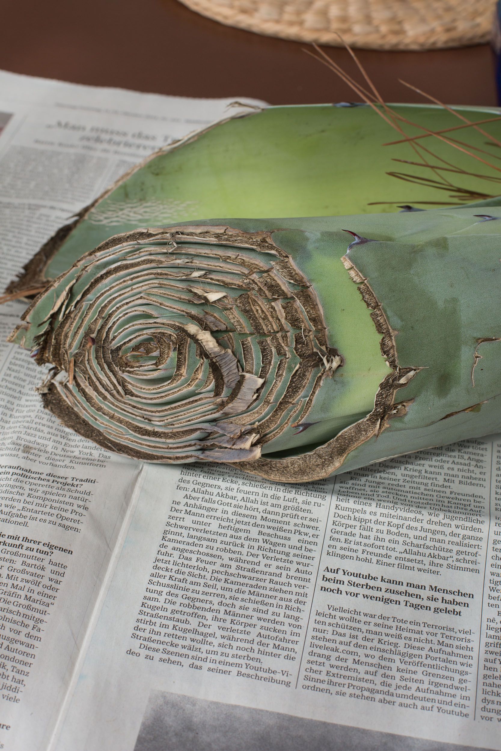 A photograph by Wolfgang Tillmans, titled still life, Calle Real II, dated 2014.