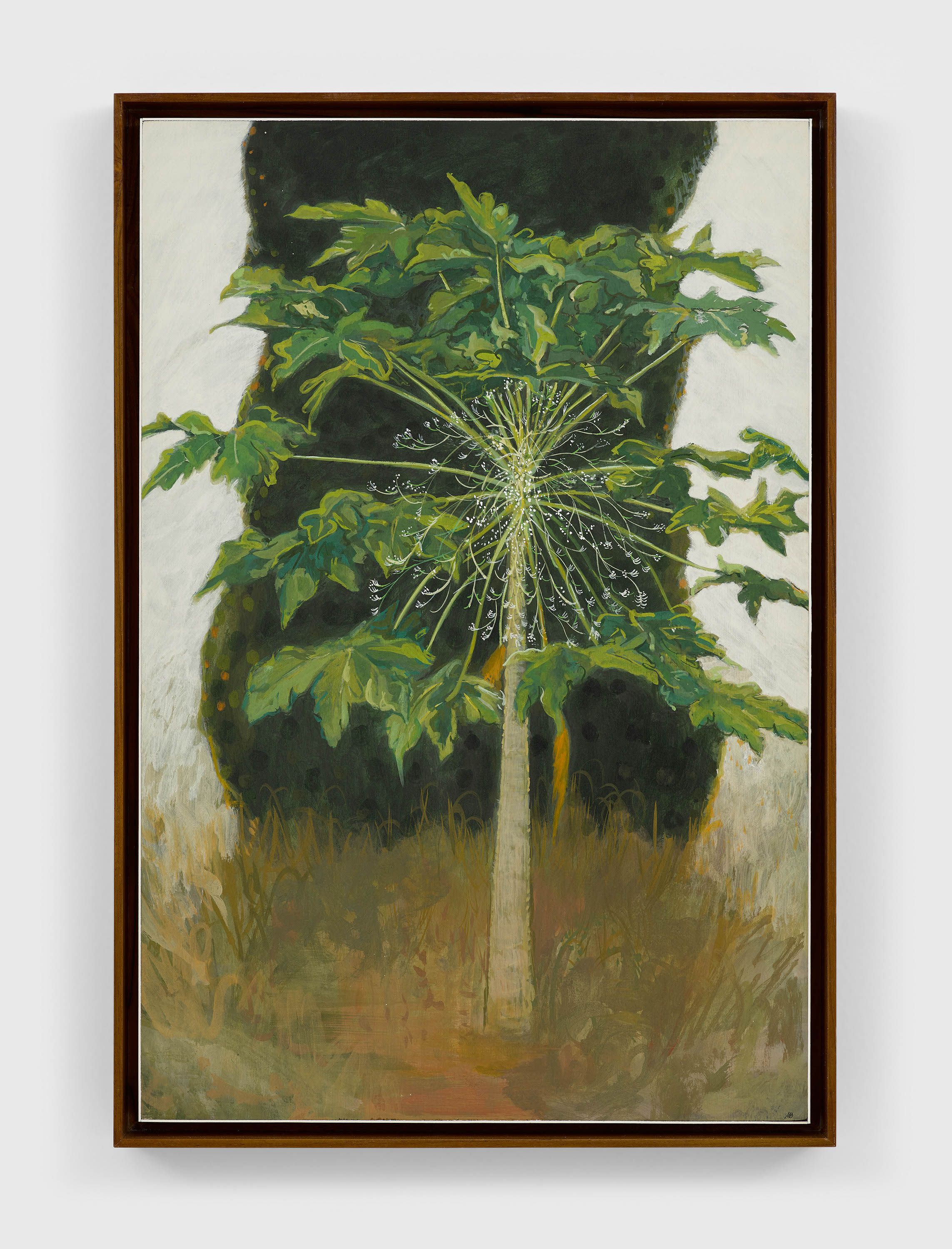 A casein on board artwork by Mahesh Baliga, titled Male papaya tree, dated 2022.