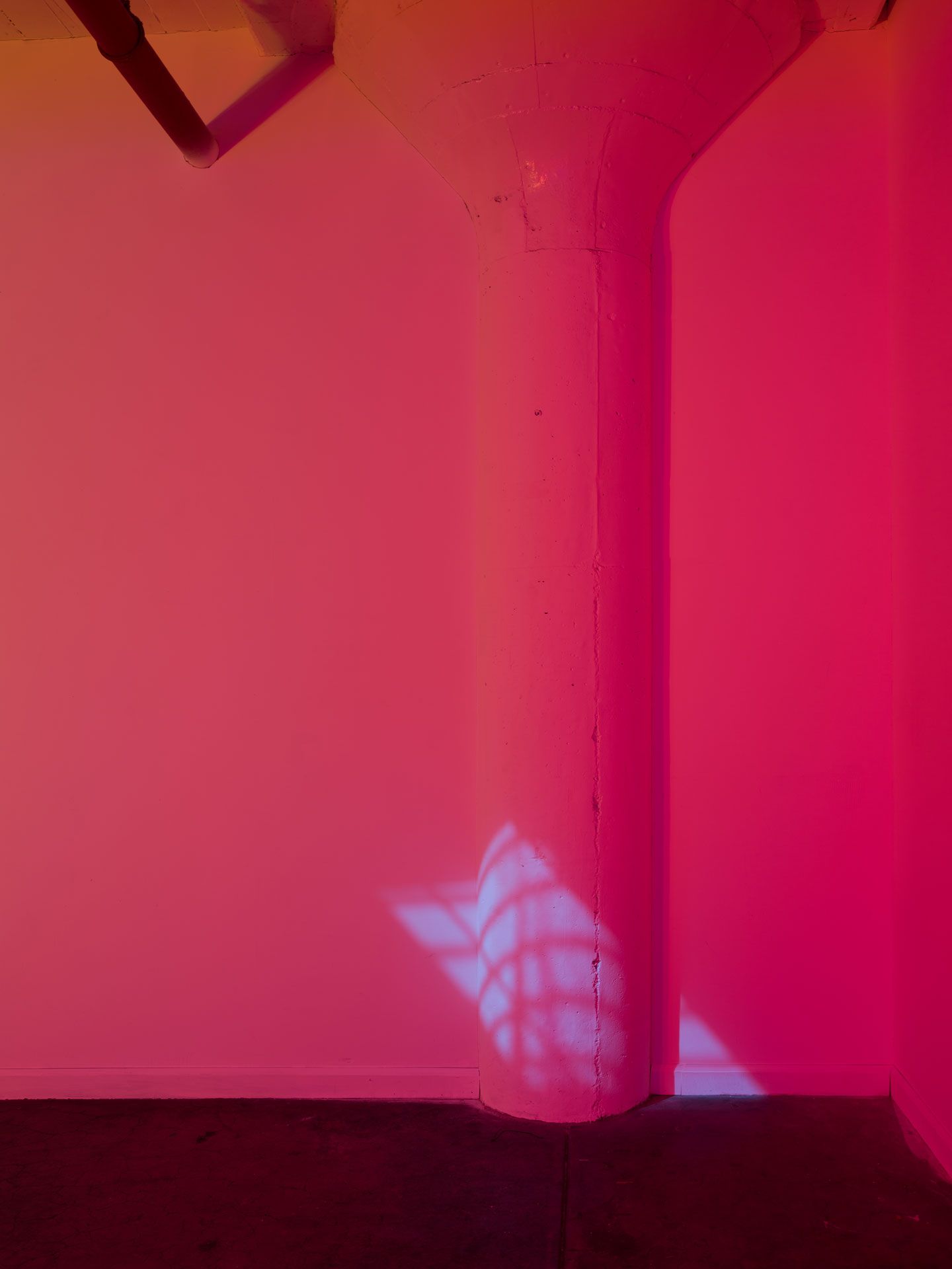 An installation view featuring Diana Thater, Yes there will be singing, dated 2020