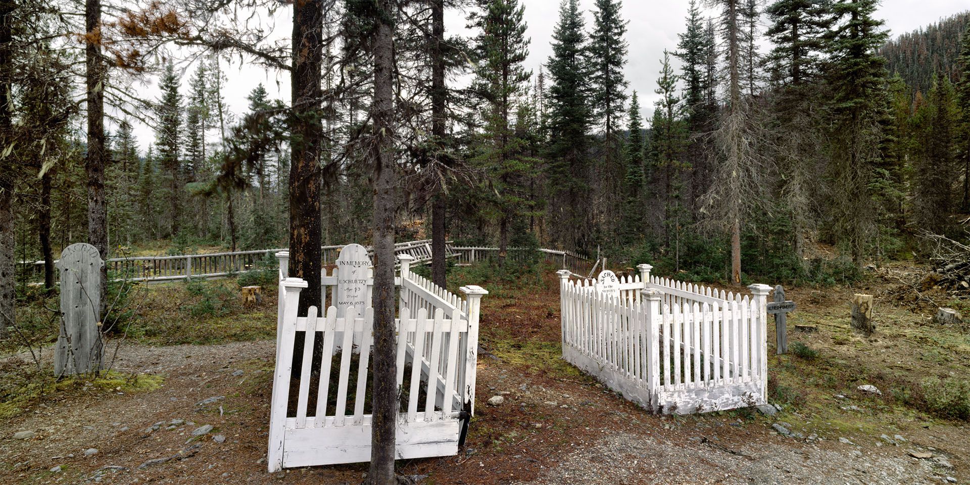 A photograph by Stan Douglas, titled Stanley Cemetery, dated 2006. 